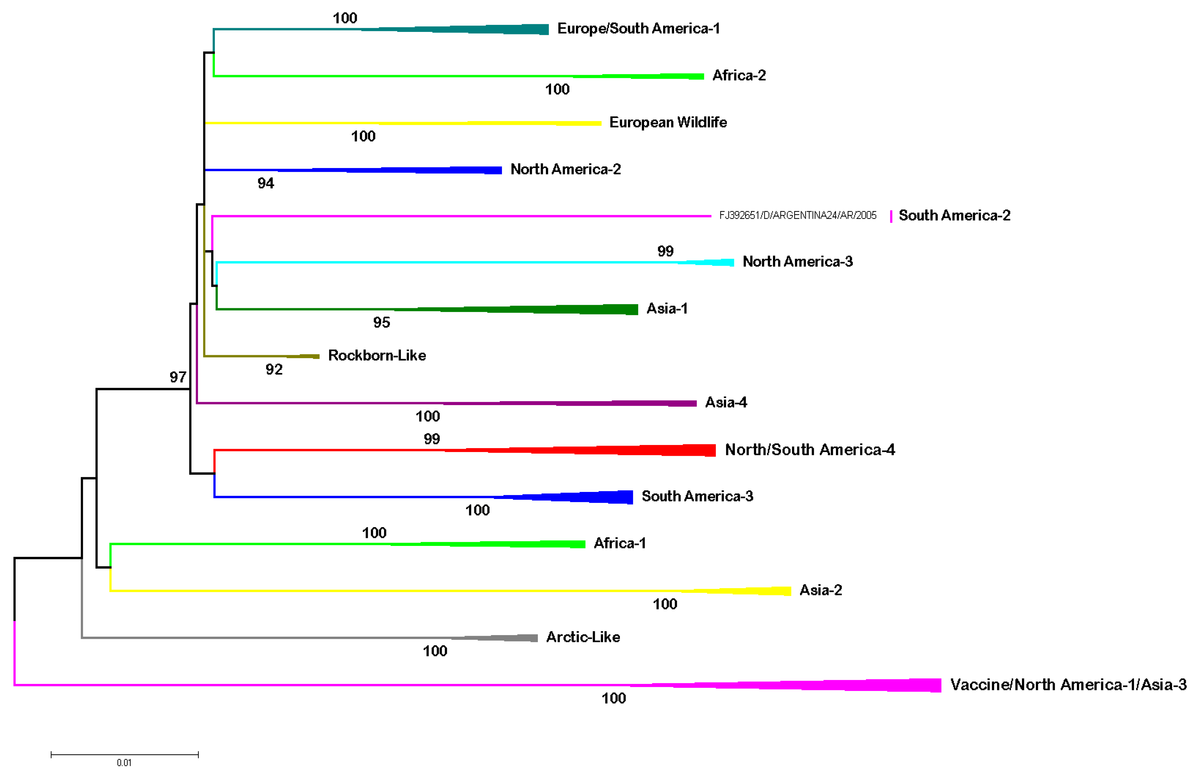 Viruses 11 00582 g002