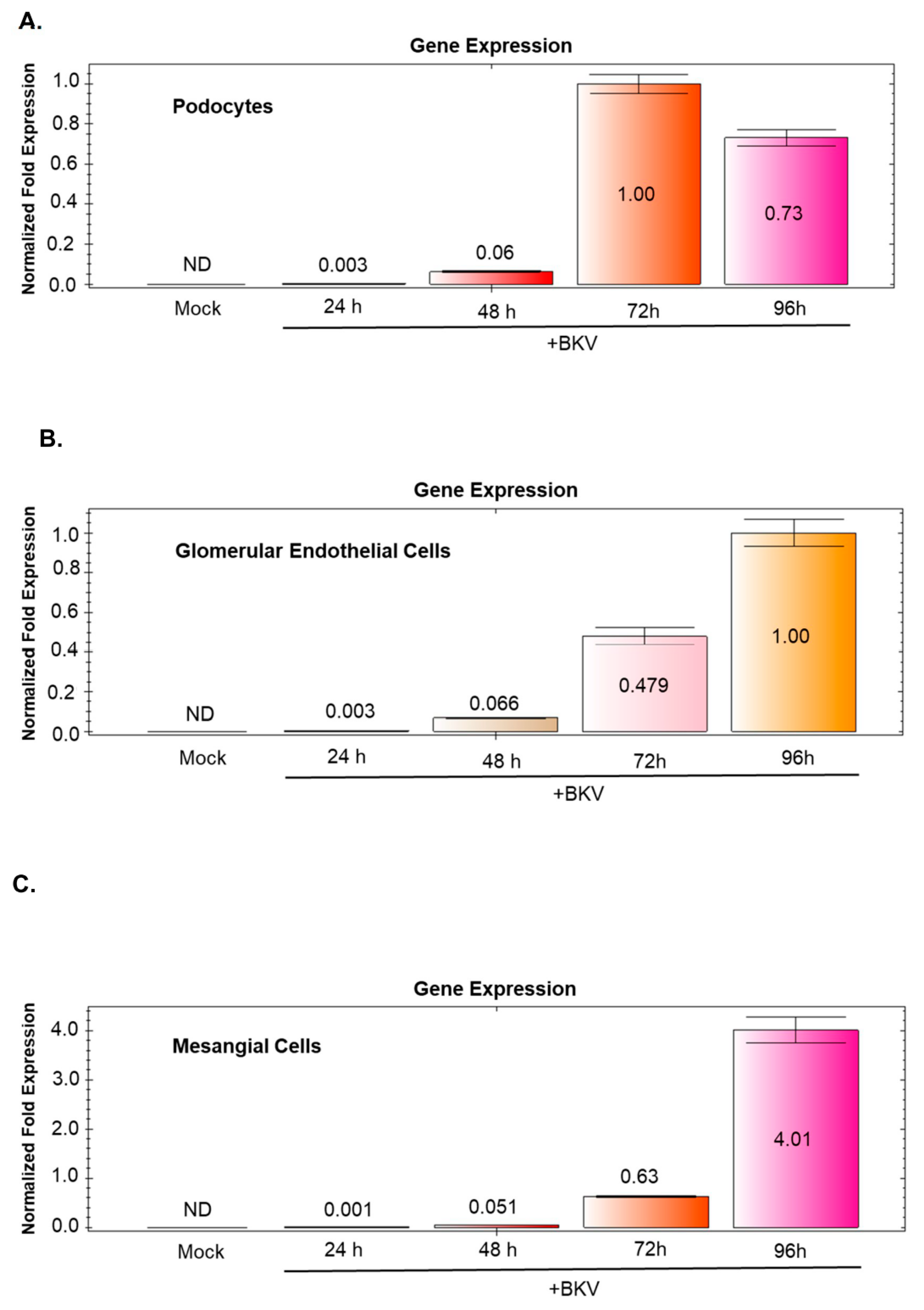 Viruses 11 00583 g007 Viruses 11 00583 g007
