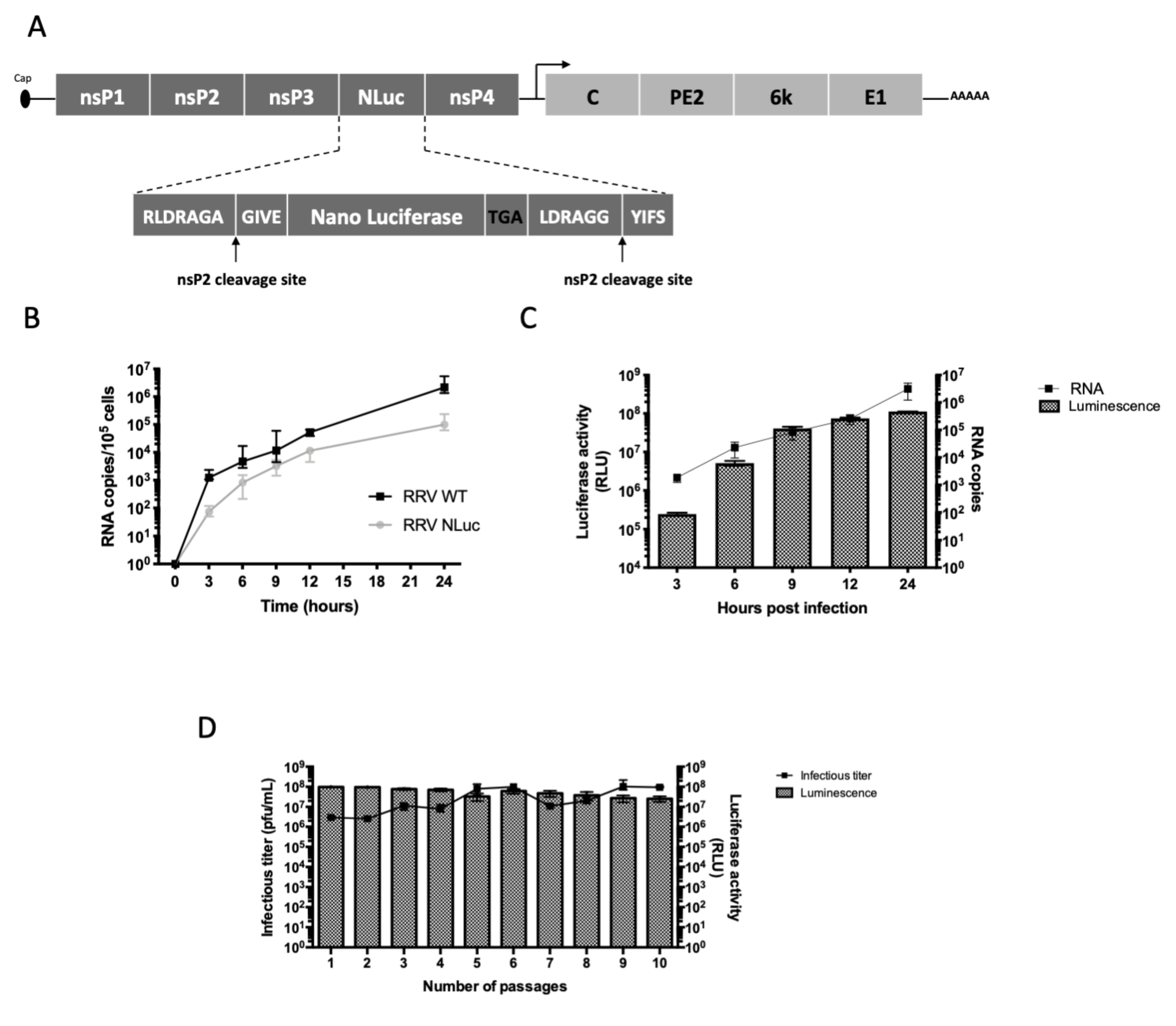 Viruses 11 00584 g001 Viruses 11 00584 g001
