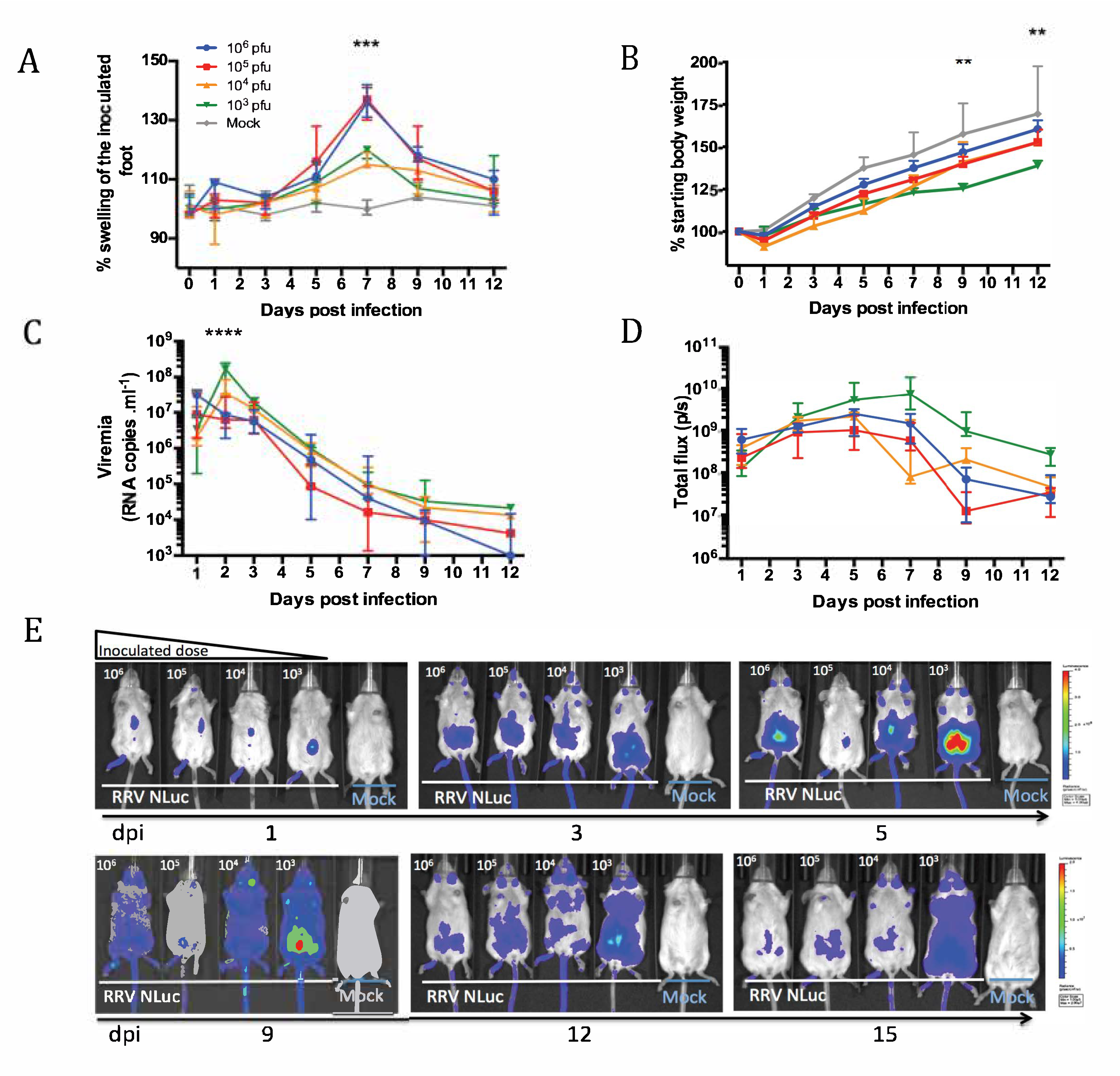 Viruses 11 00584 g003 Viruses 11 00584 g003