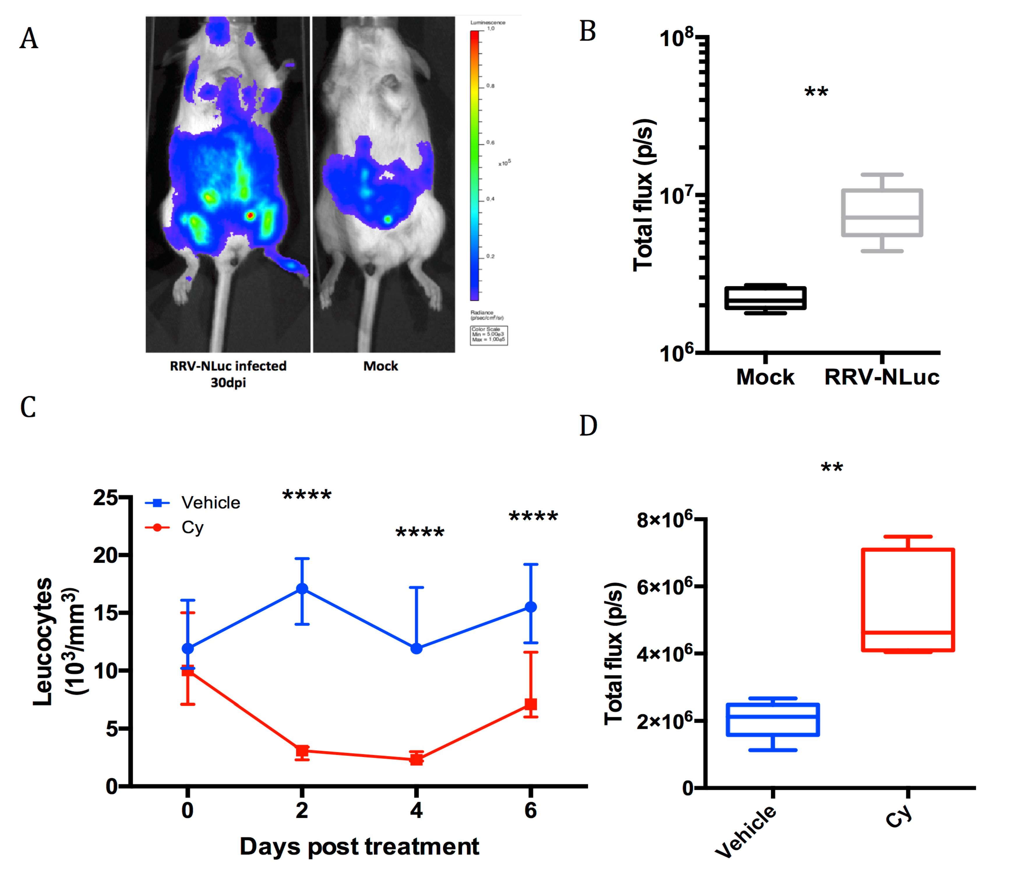 Viruses 11 00584 g005 Viruses 11 00584 g005