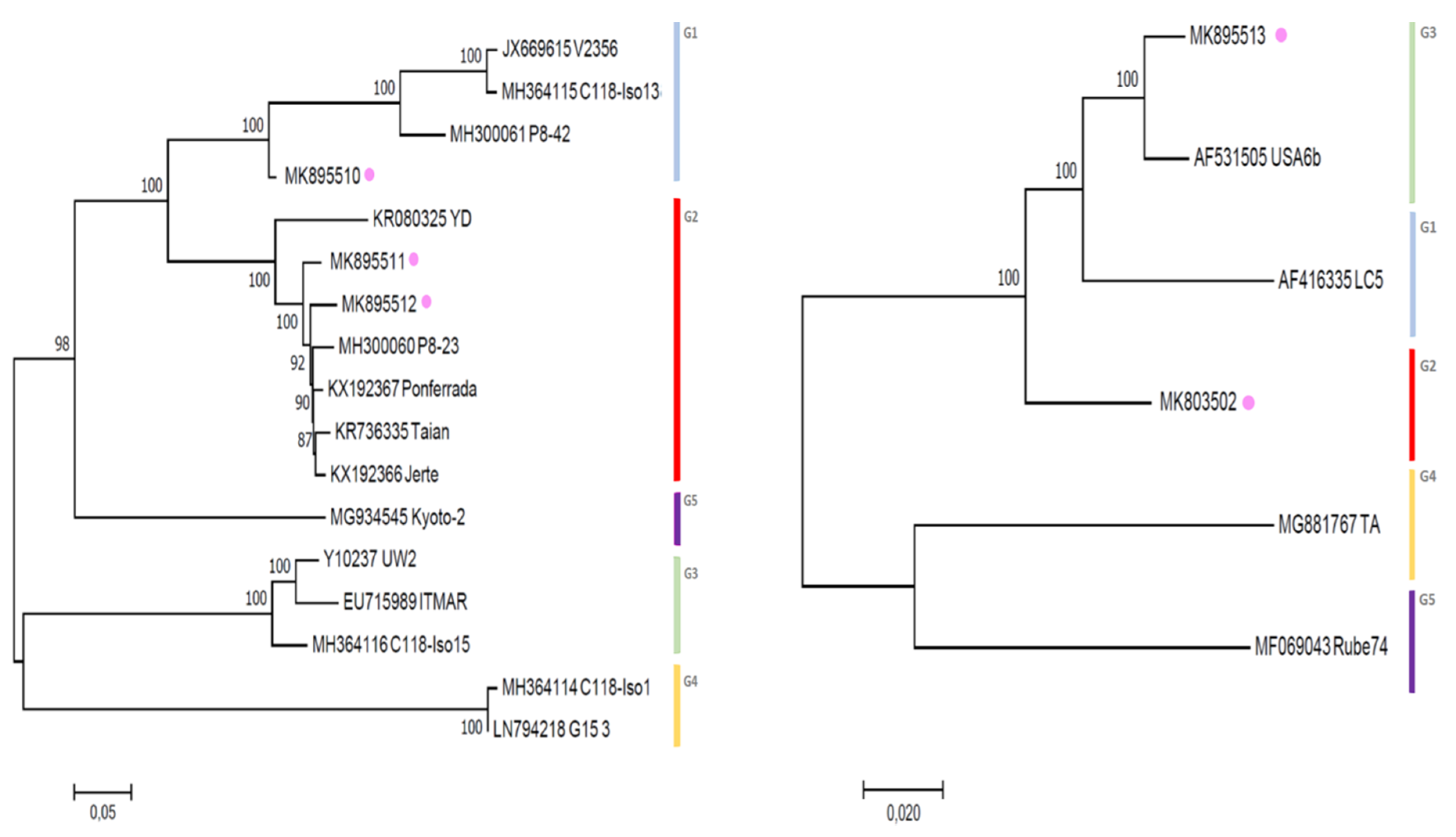 Viruses 11 00592 g003