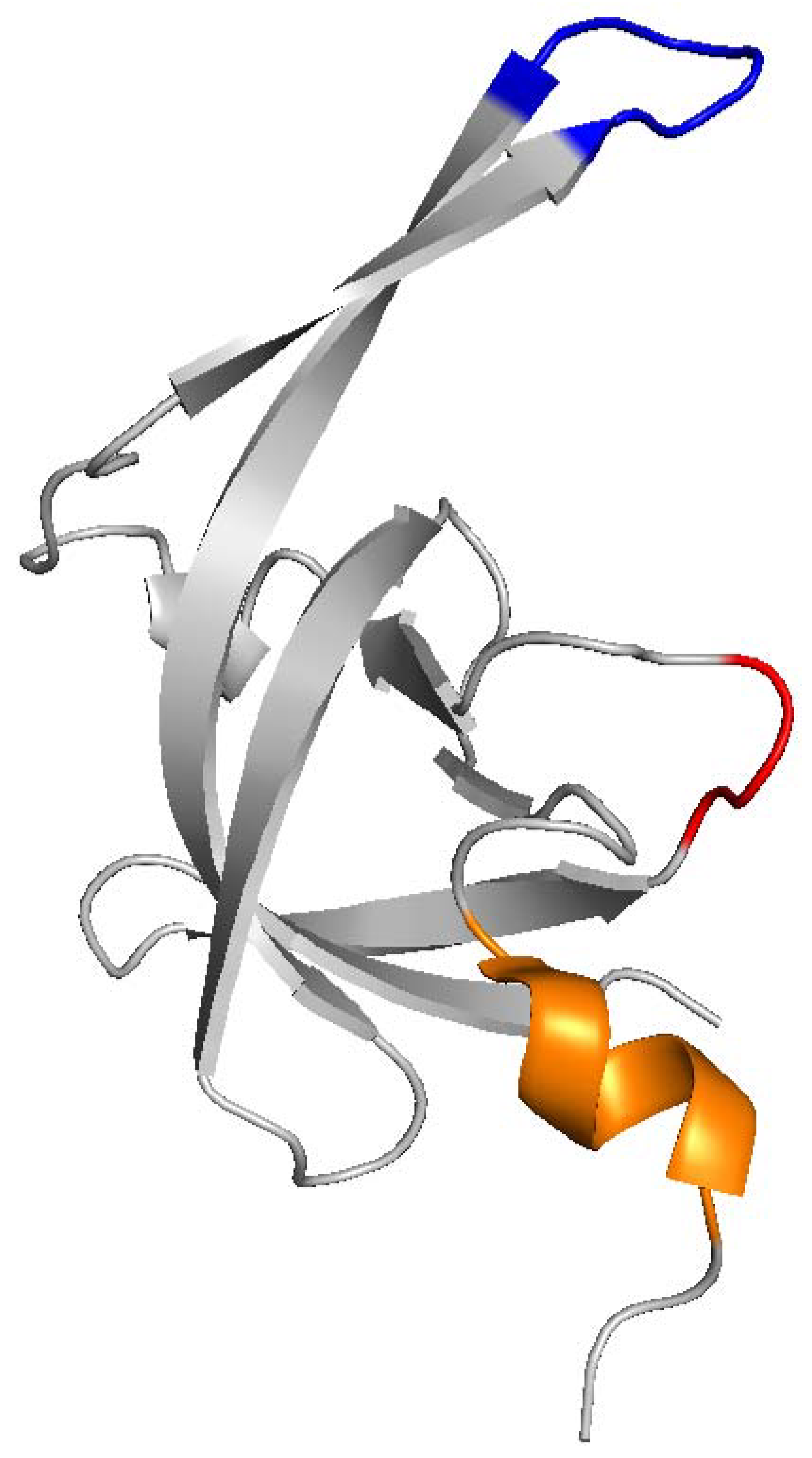 Viruses 11 00598 g004