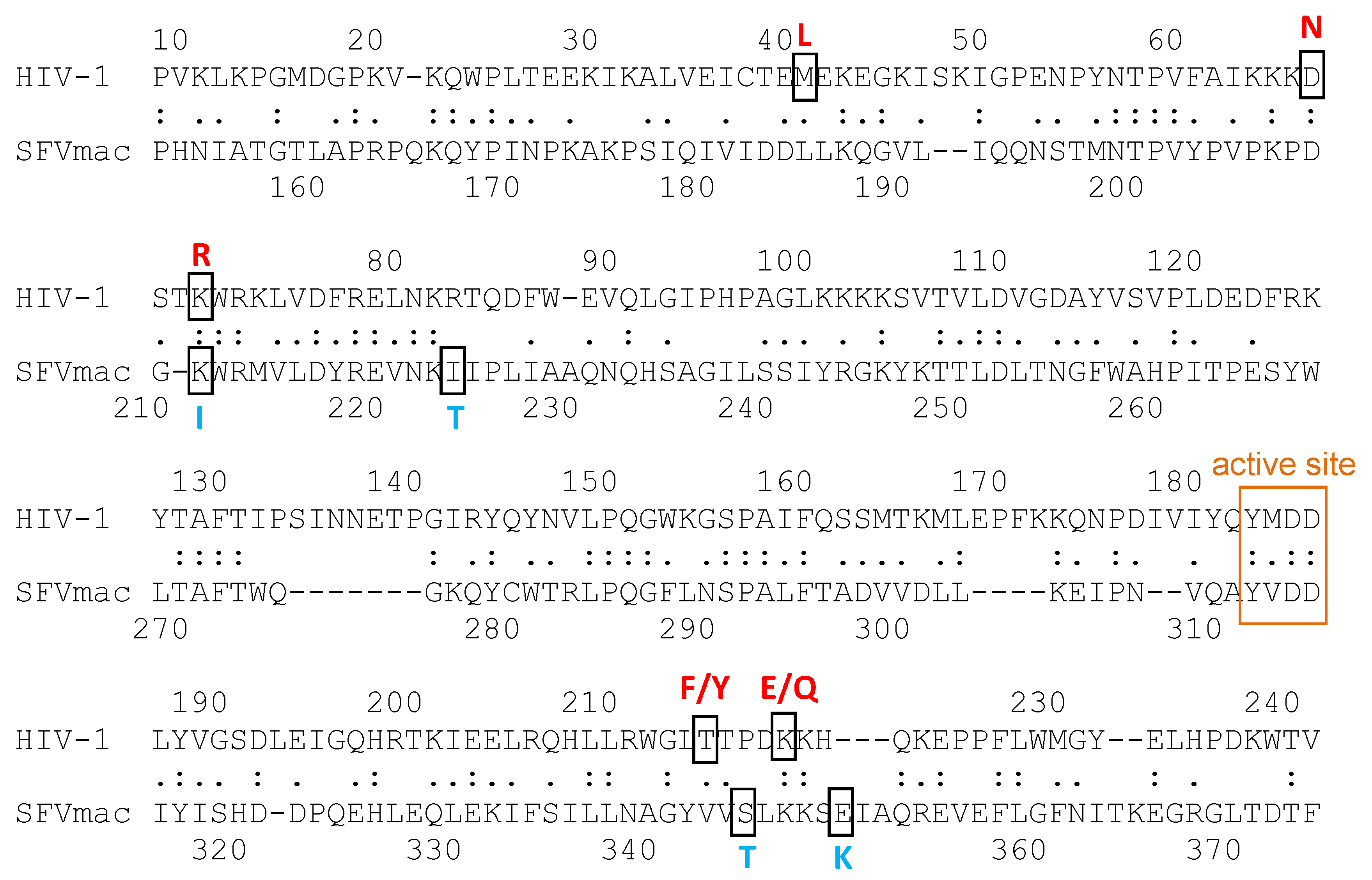 Viruses 11 00598 g006