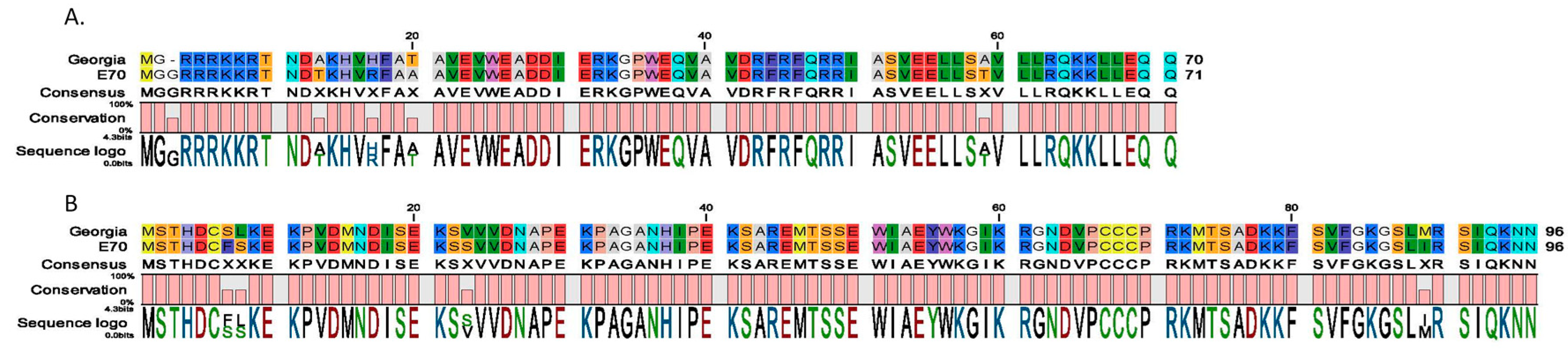Viruses 11 00599 g001