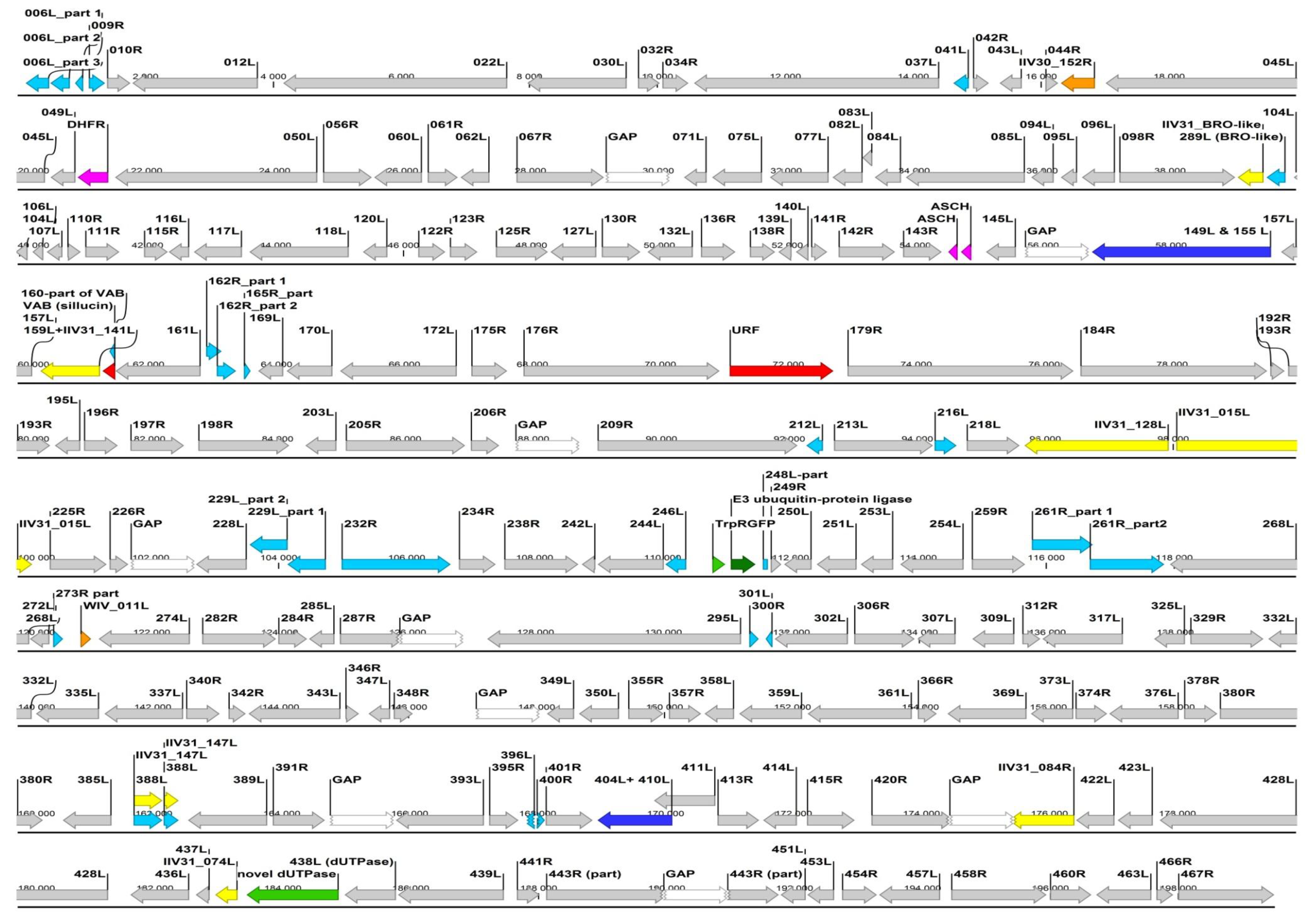 Viruses 11 00600 g003 Viruses 11 00600 g003