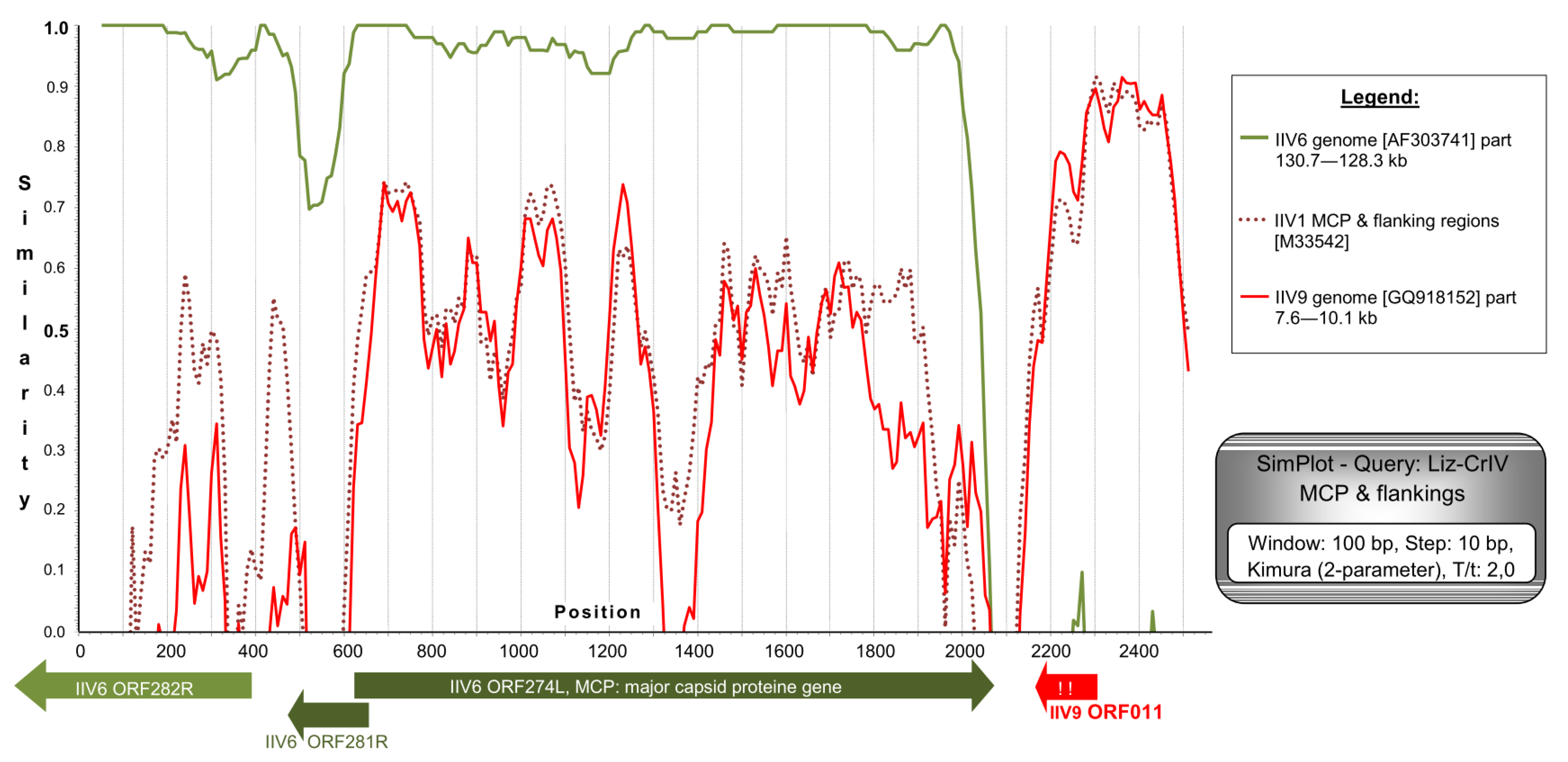 Viruses 11 00600 g004 Viruses 11 00600 g004
