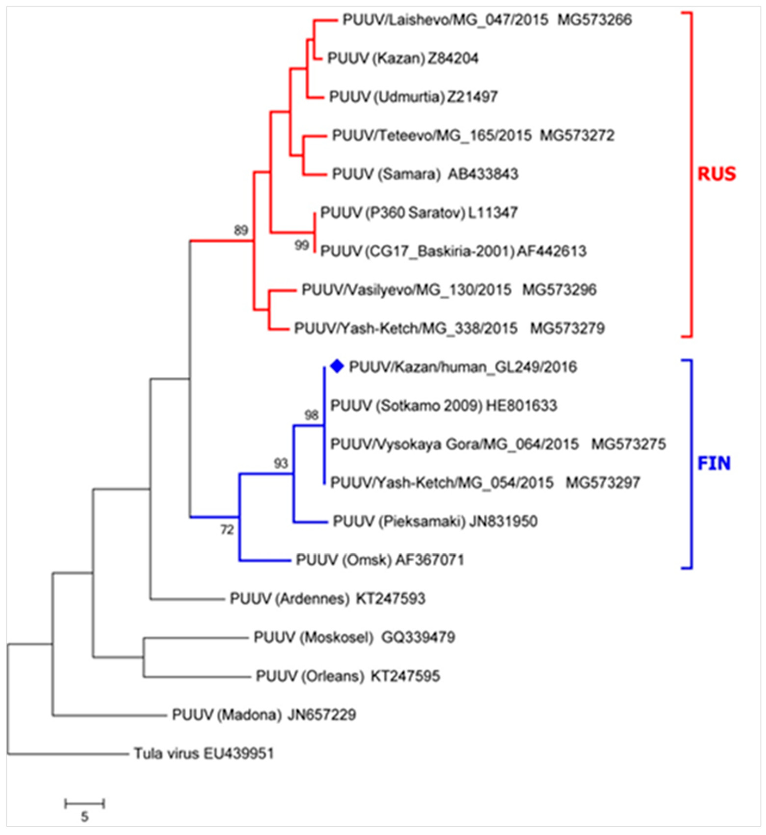 Viruses 11 00601 g003
