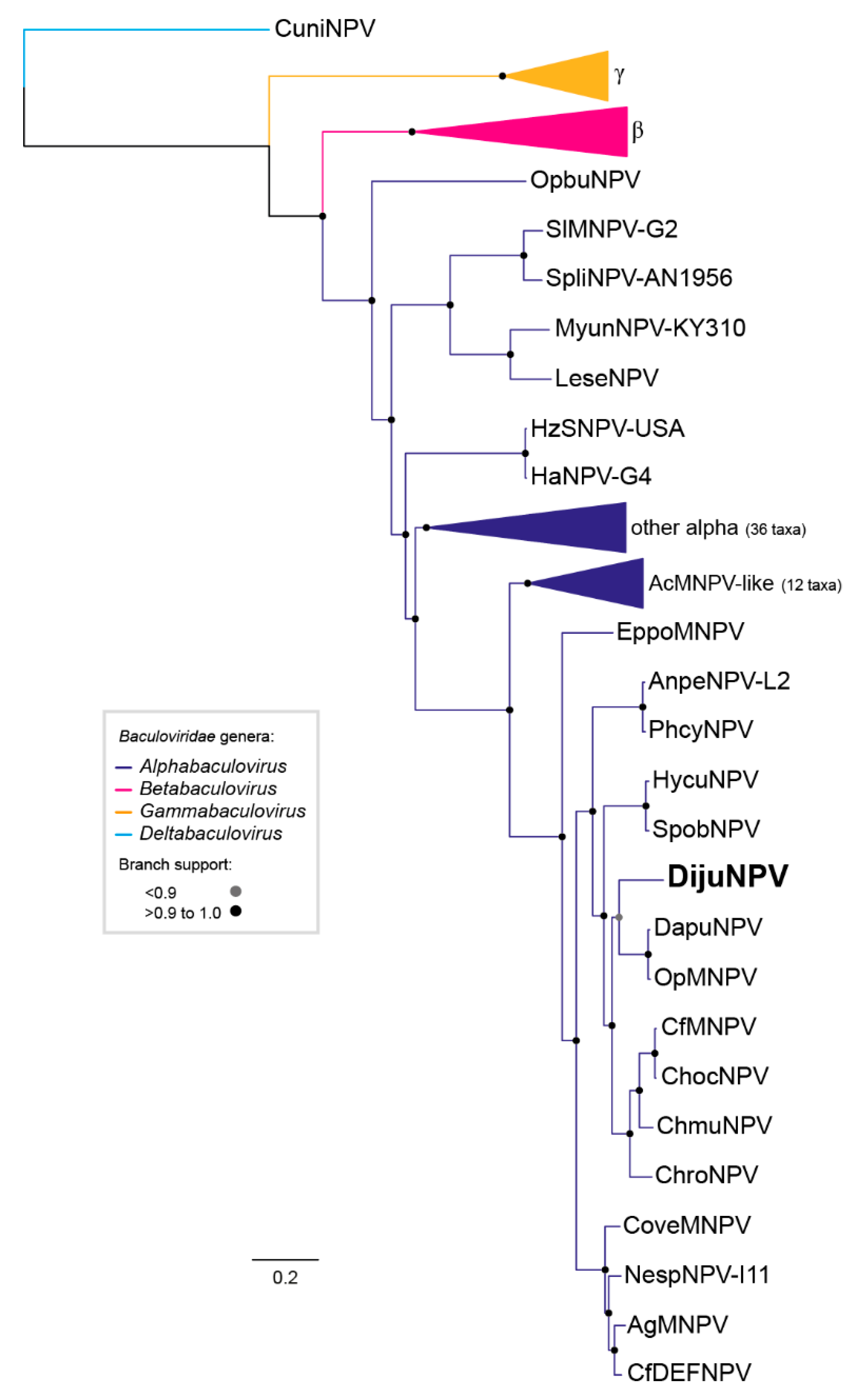 Viruses 11 00602 g002 Viruses 11 00602 g002