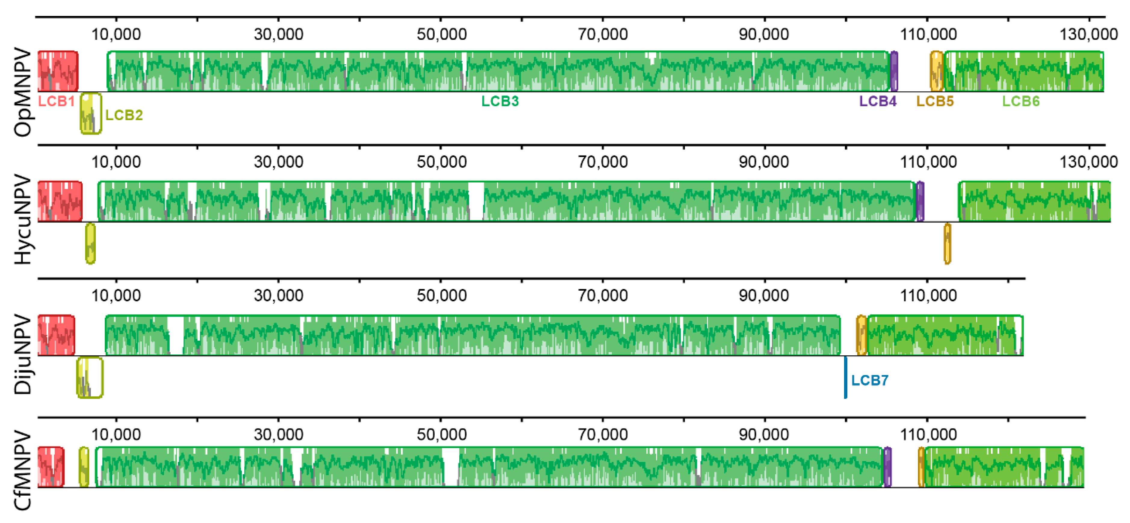 Viruses 11 00602 g003 Viruses 11 00602 g003