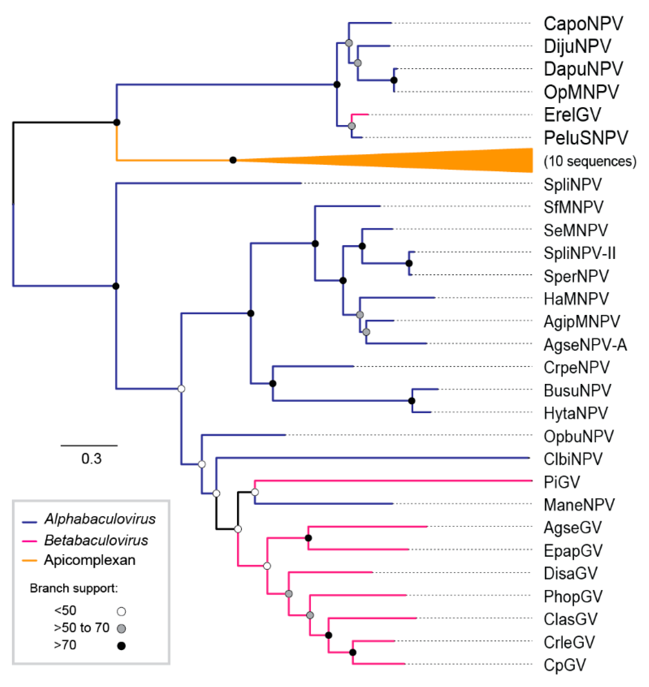 Viruses 11 00602 g006 Viruses 11 00602 g006