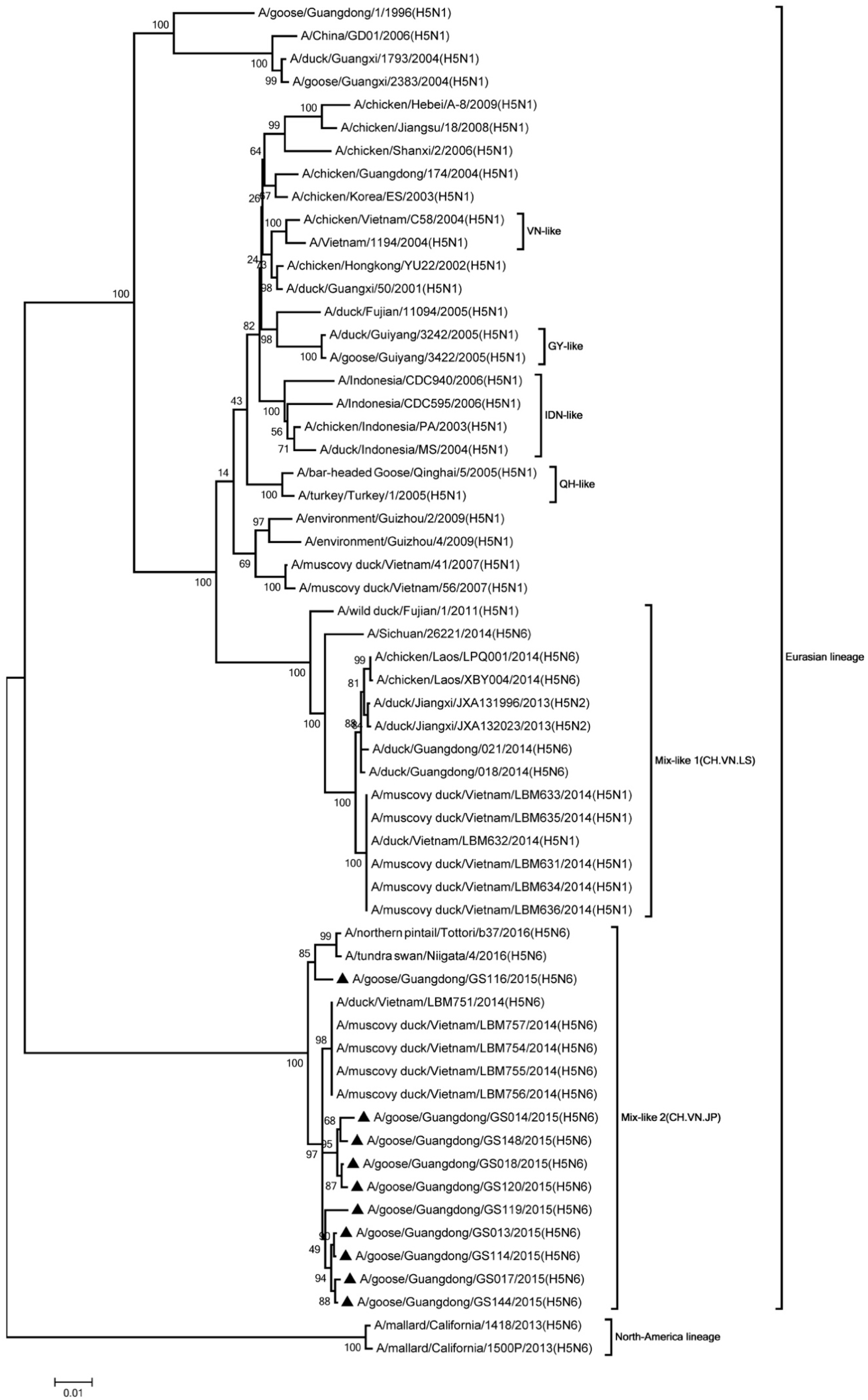 Viruses 11 00612 g008