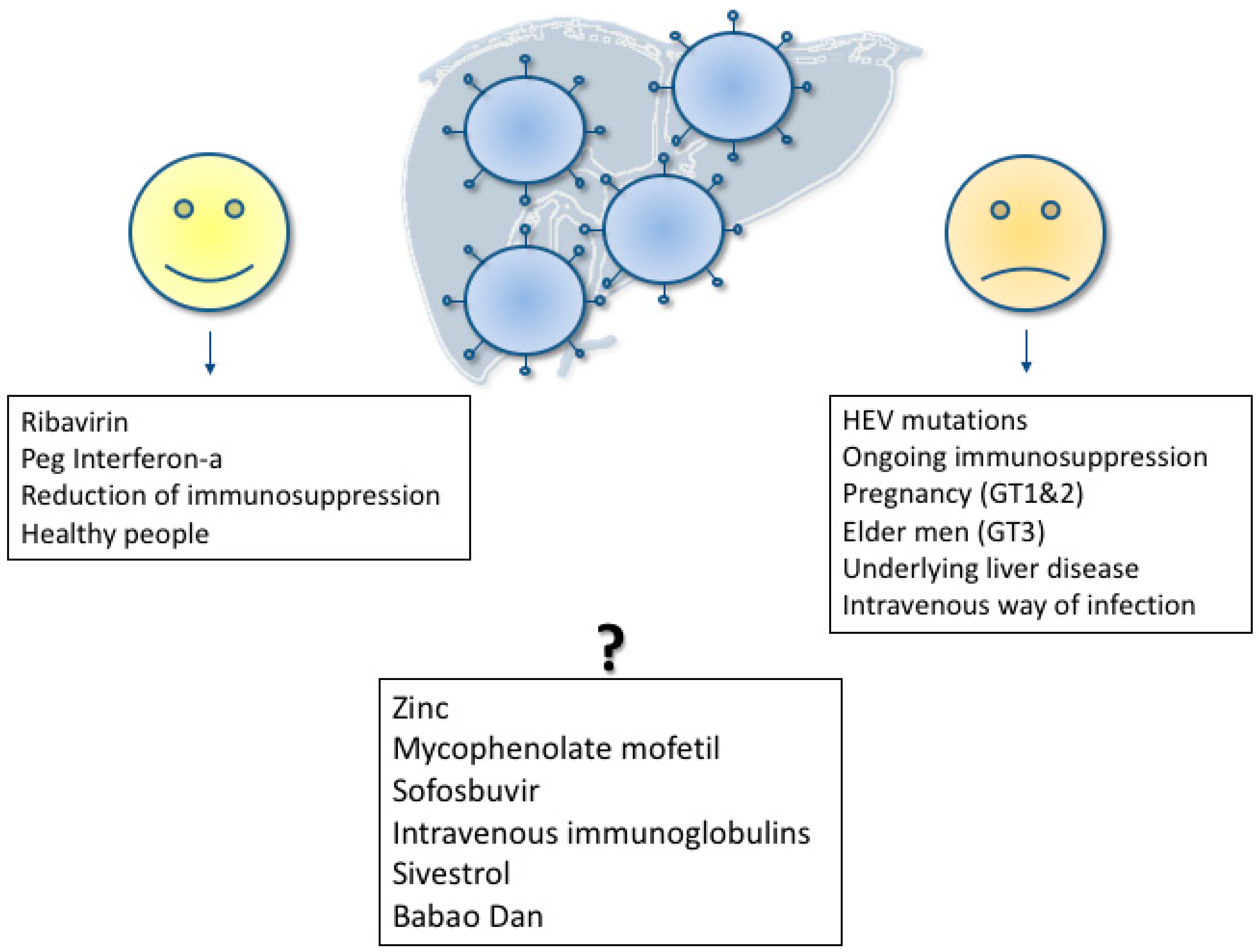 Viruses 11 00617 g002 Viruses 11 00617 g002