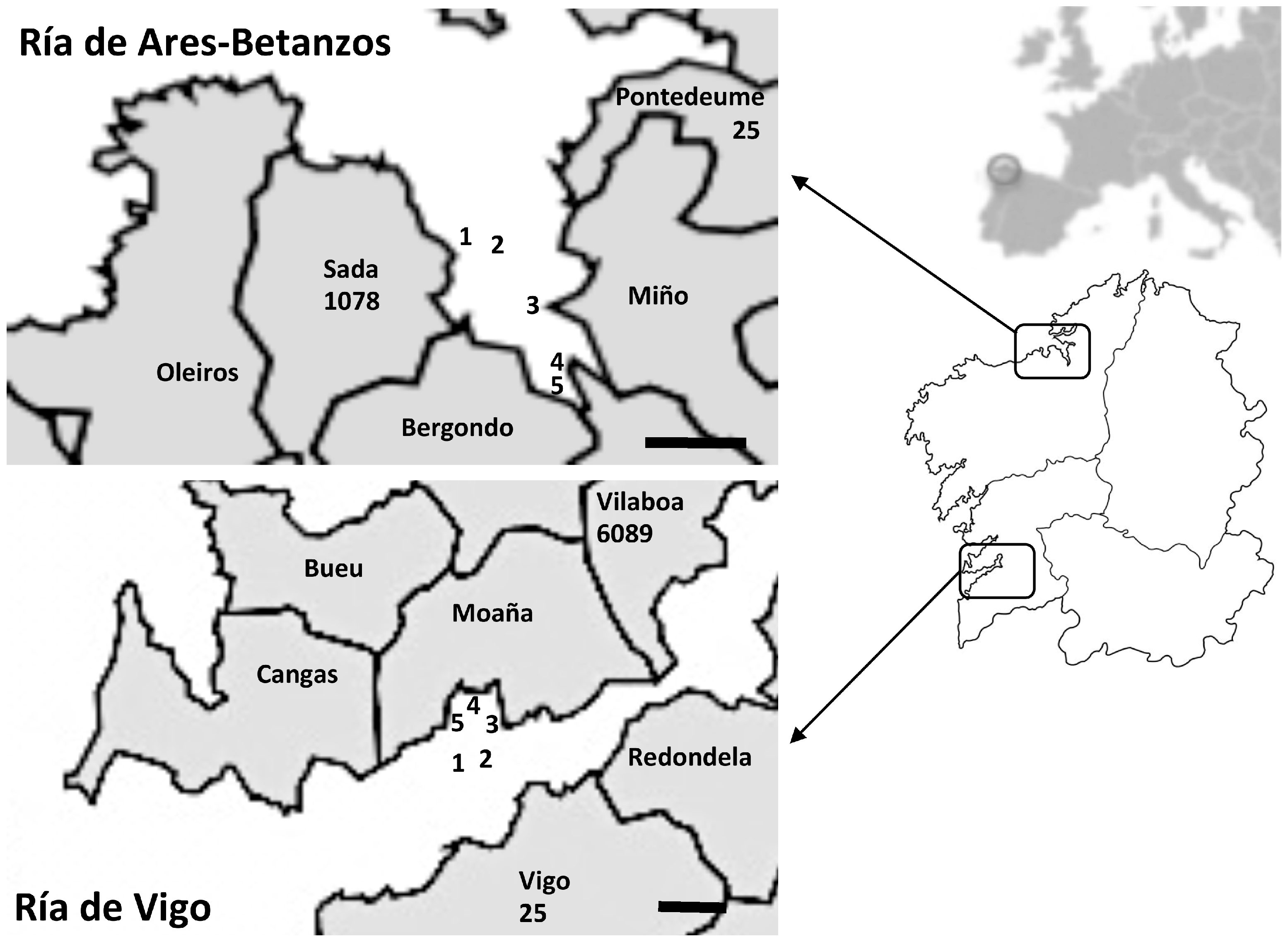 Viruses 11 00618 g001 Viruses 11 00618 g001