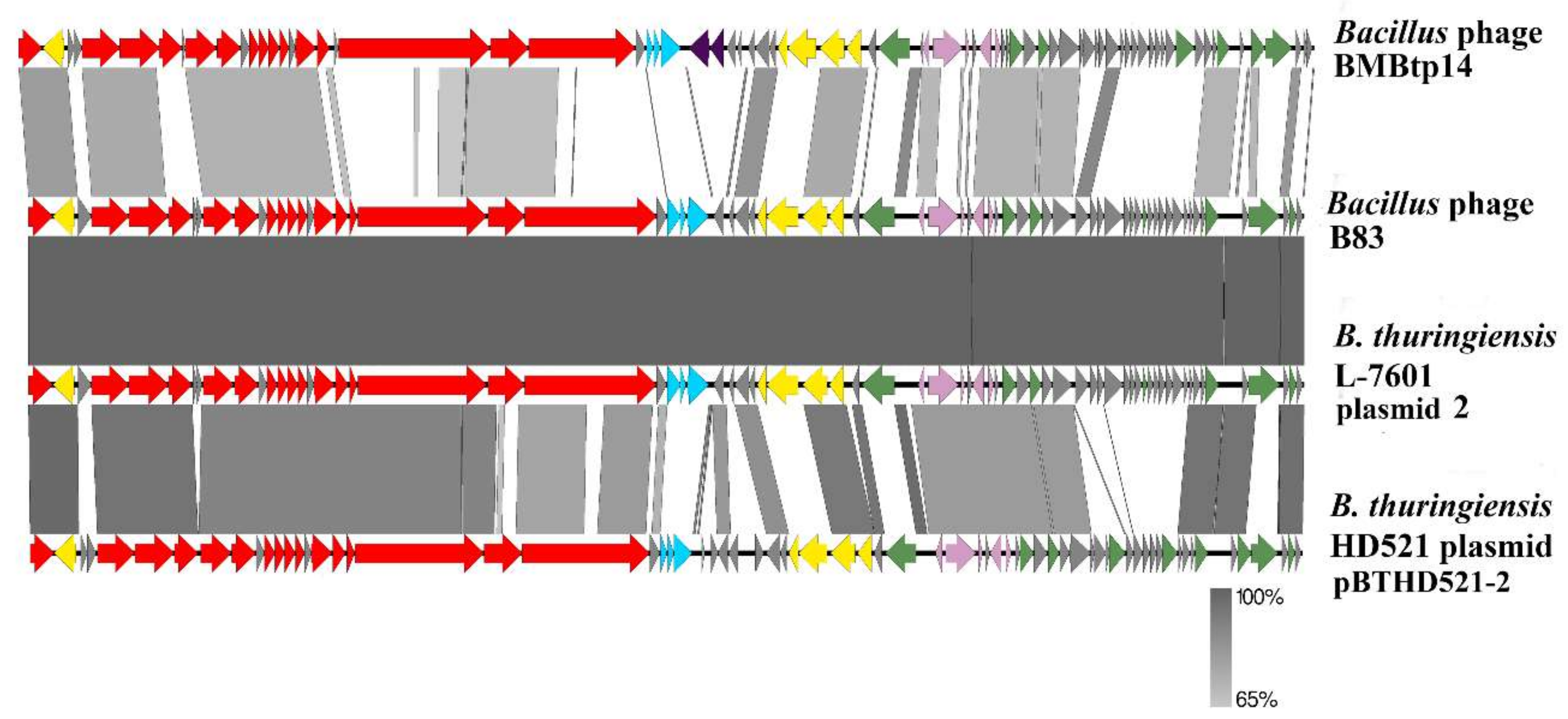 Viruses 11 00624 g004