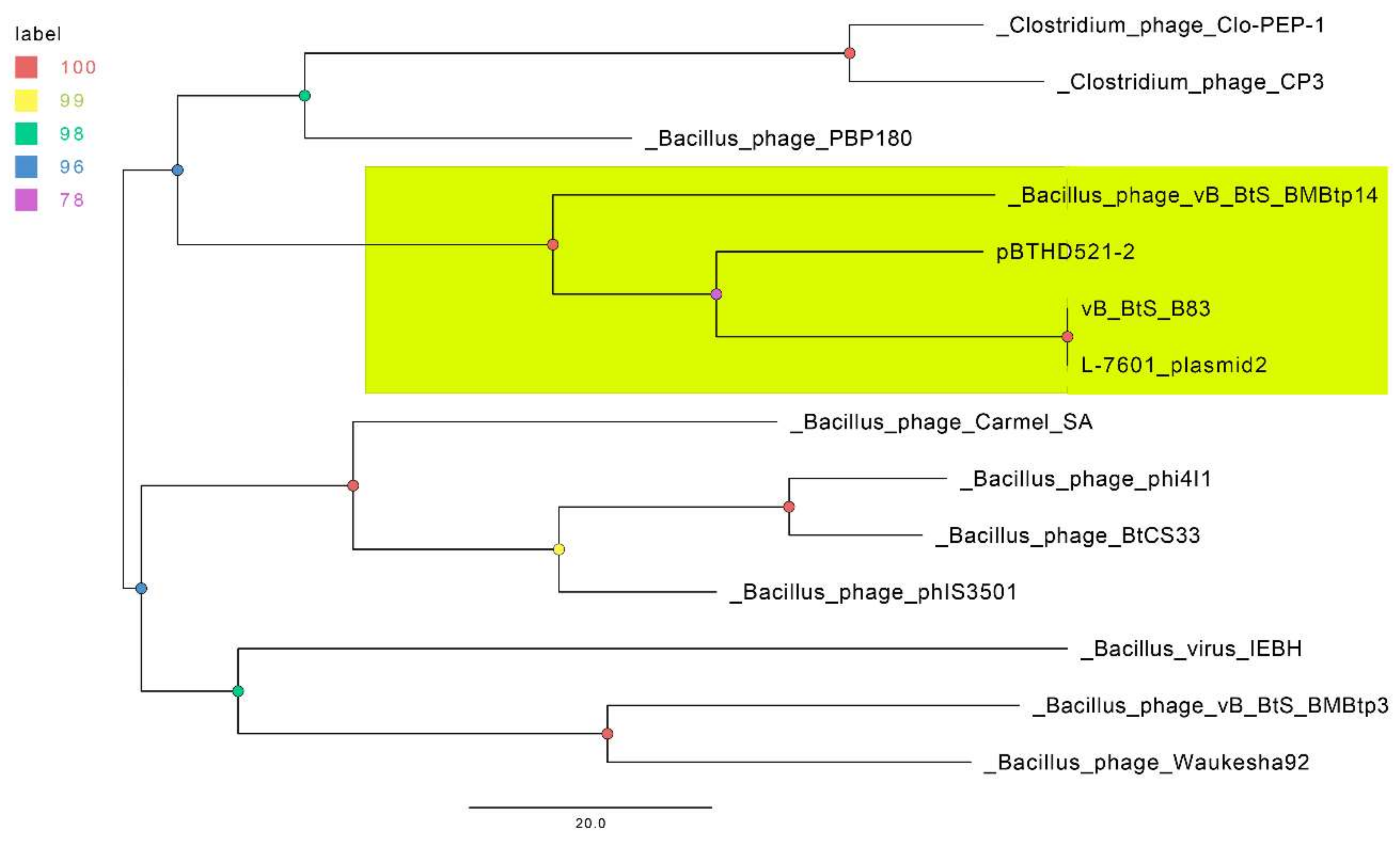 Viruses 11 00624 g005
