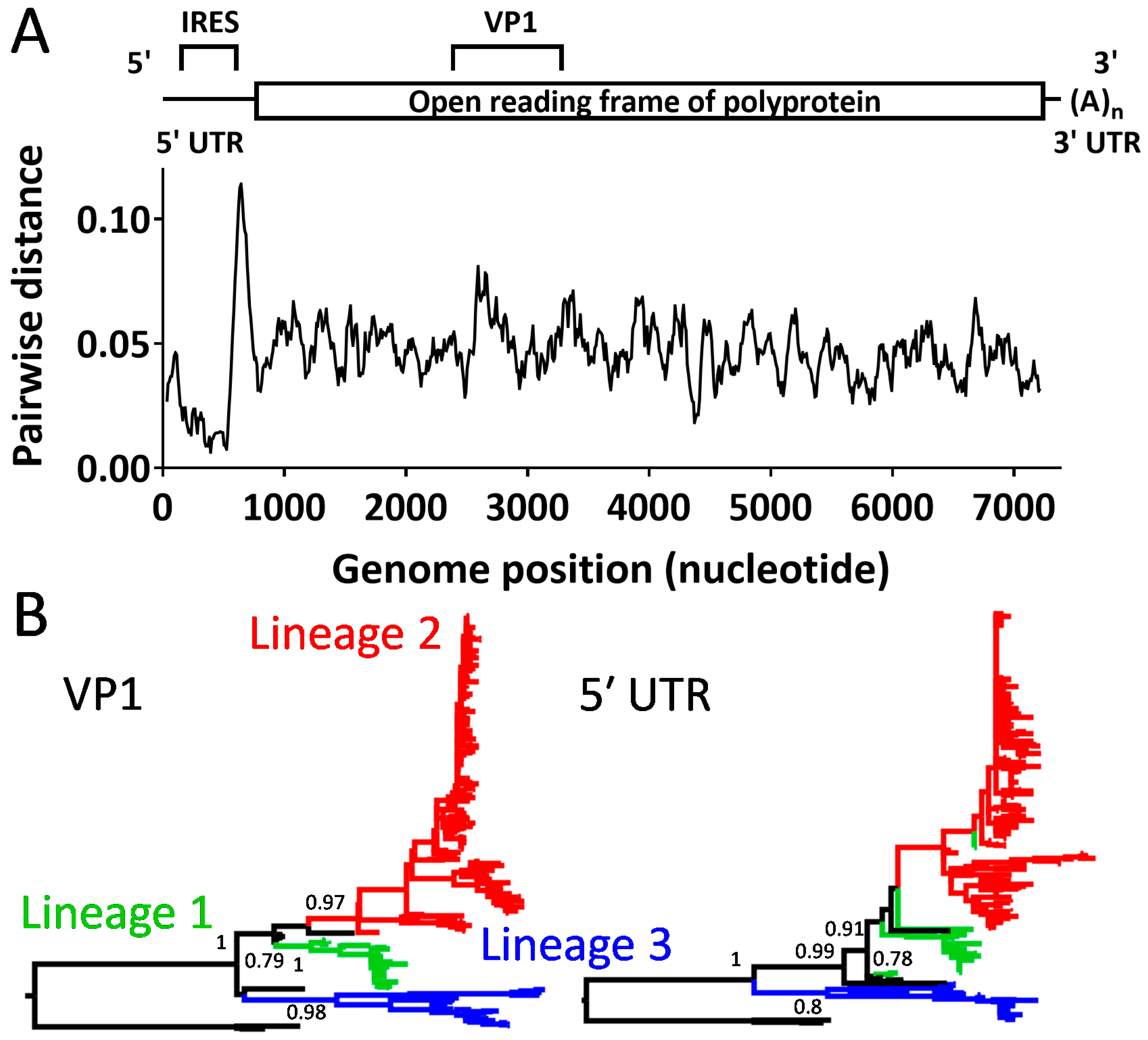 Viruses 11 00626 g001