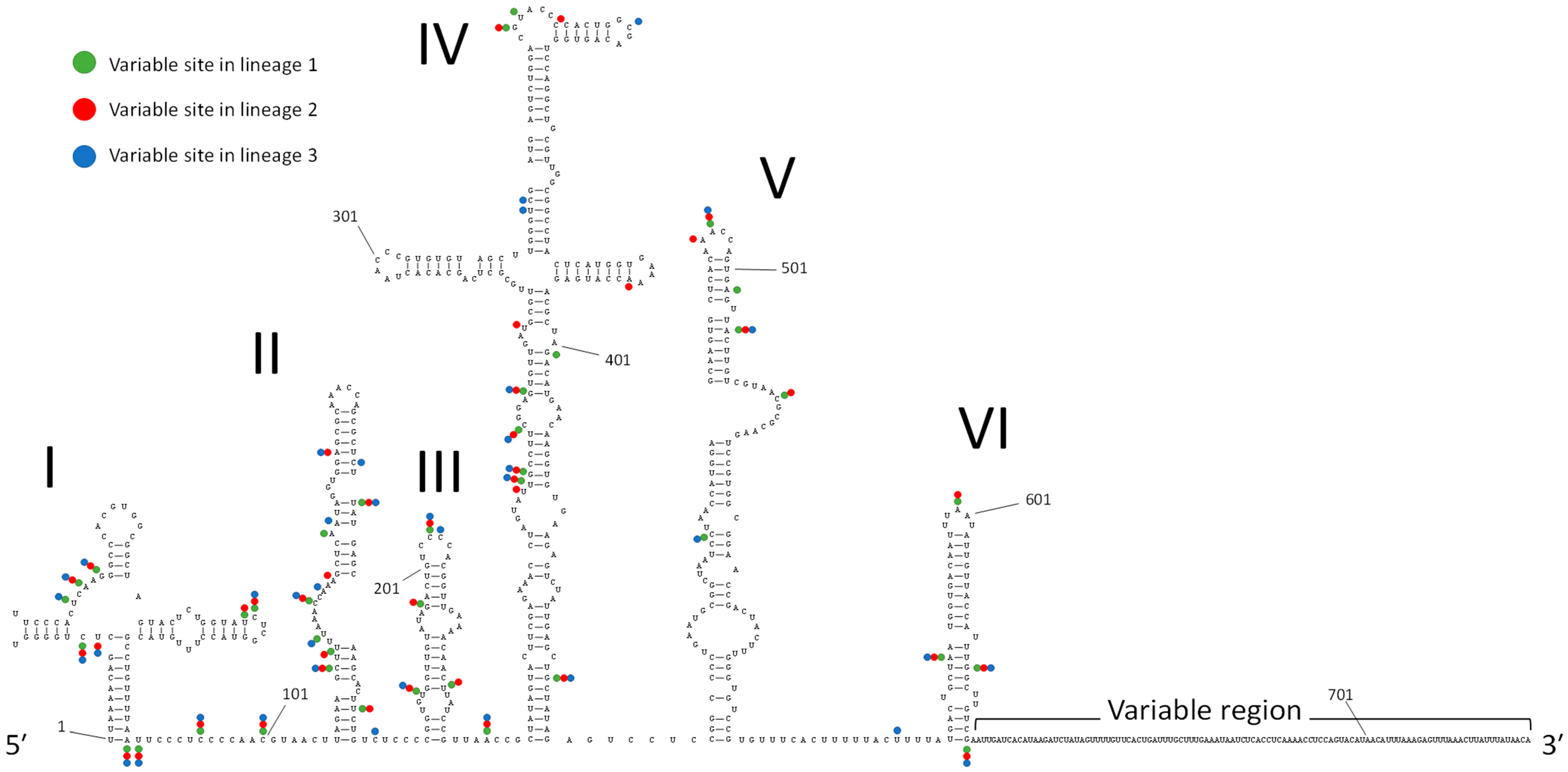 Viruses 11 00626 g002