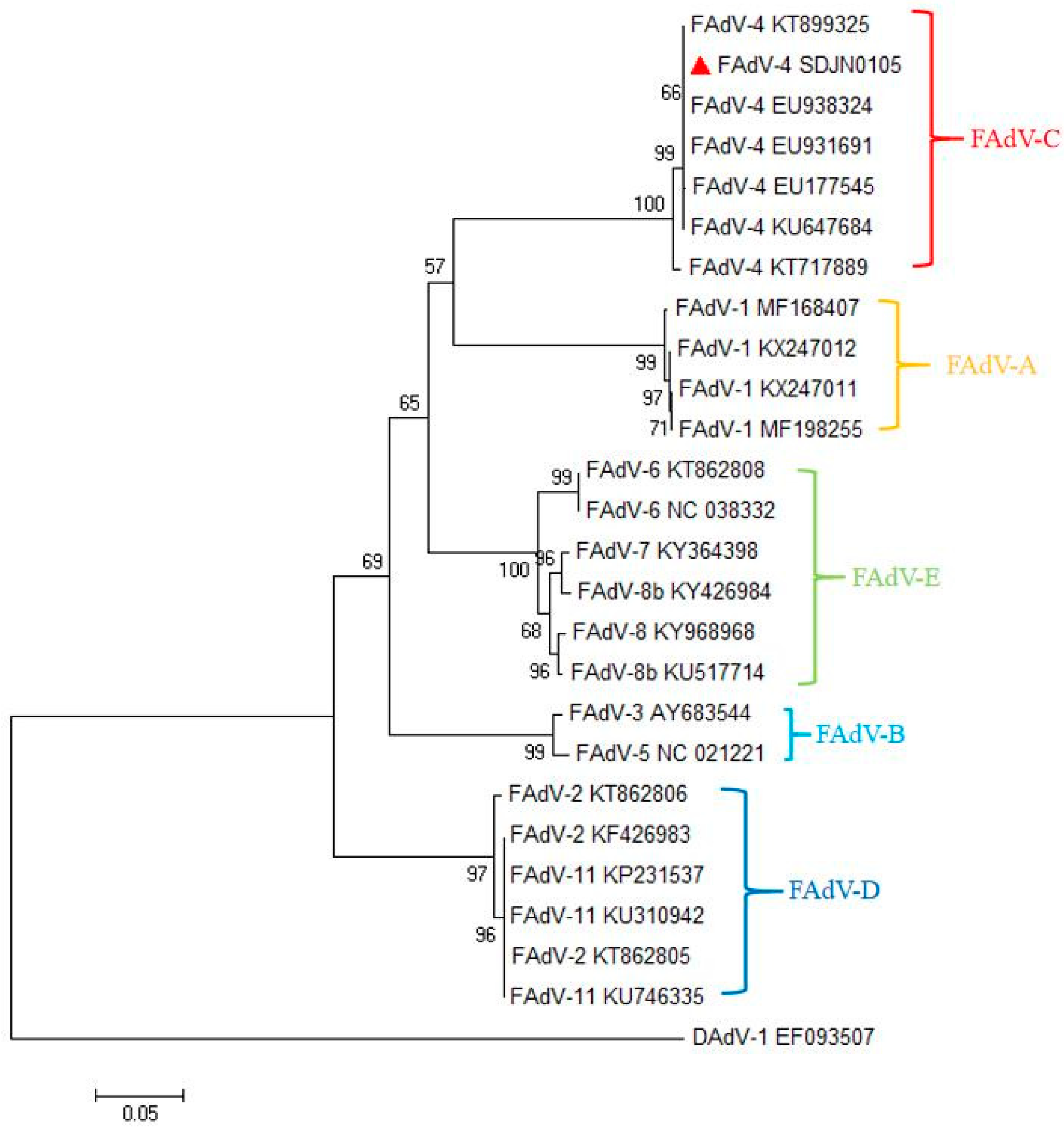 Viruses 11 00627 g002