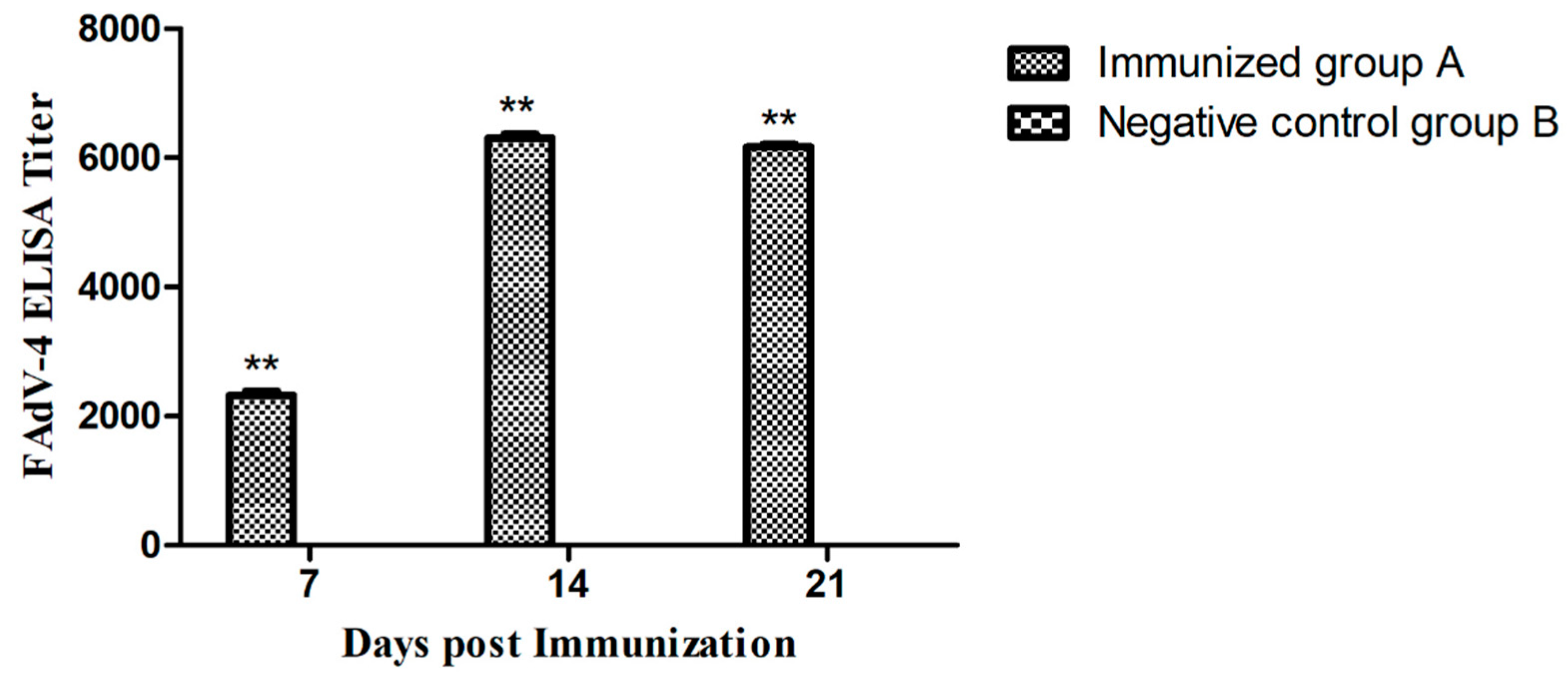 Viruses 11 00627 g007