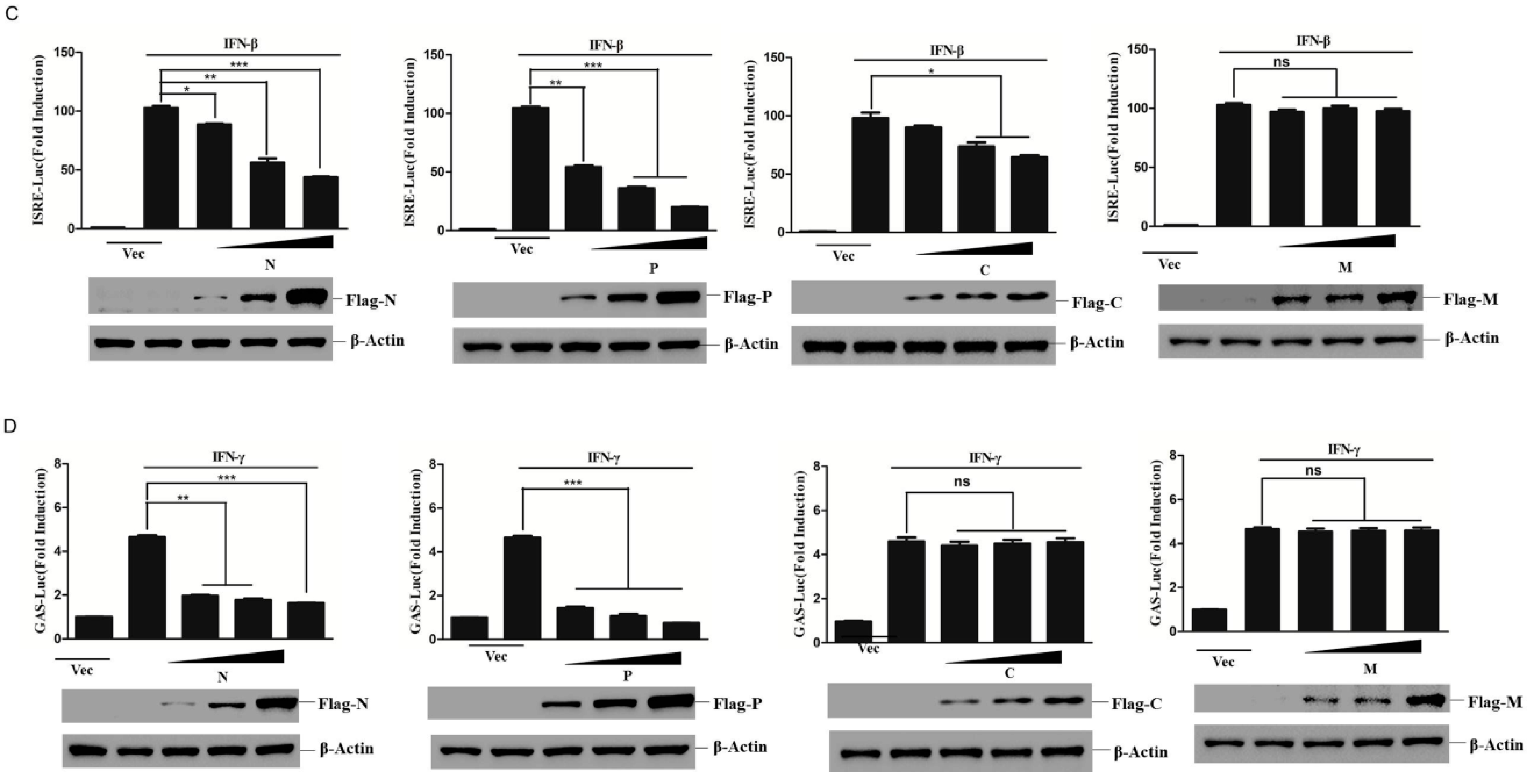 Viruses 11 00629 g001b