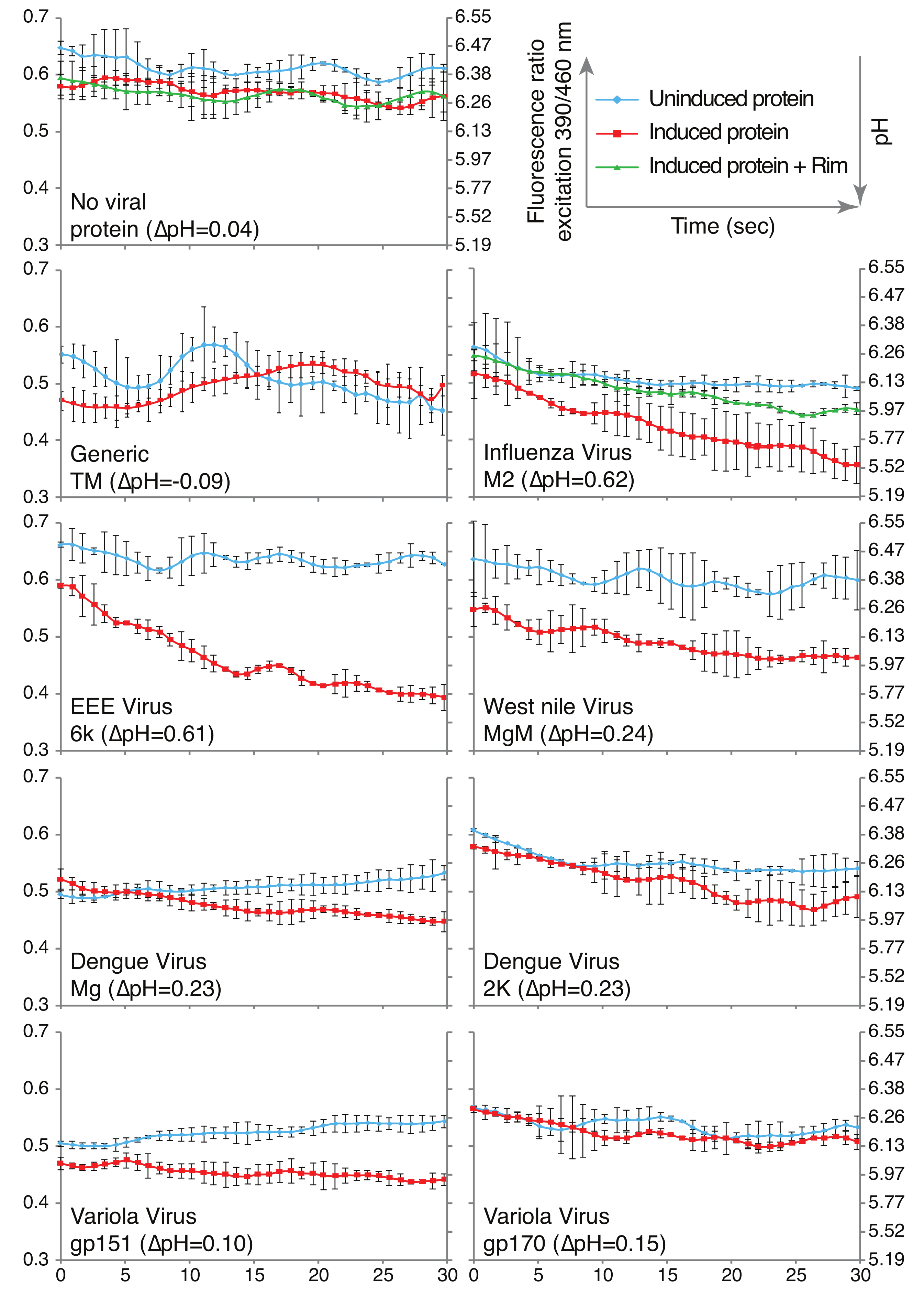 Viruses 11 00632 g005 Viruses 11 00632 g005