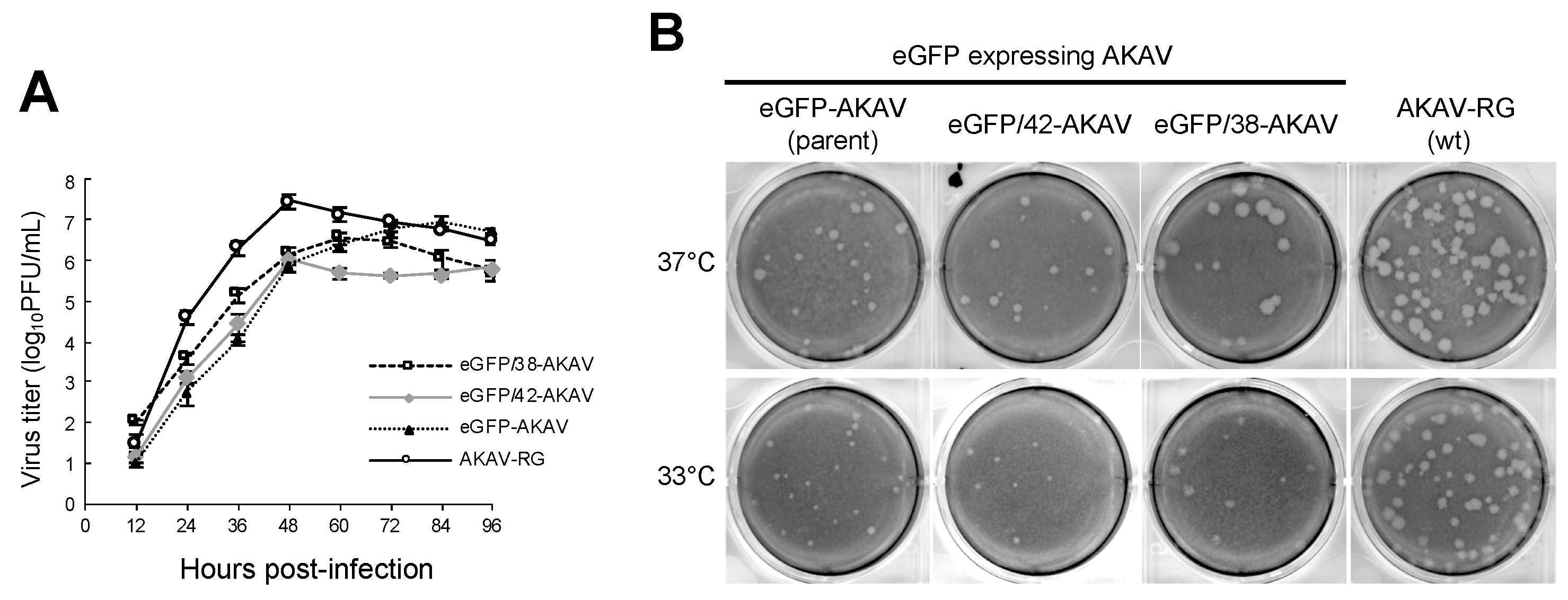 Viruses 11 00634 g002