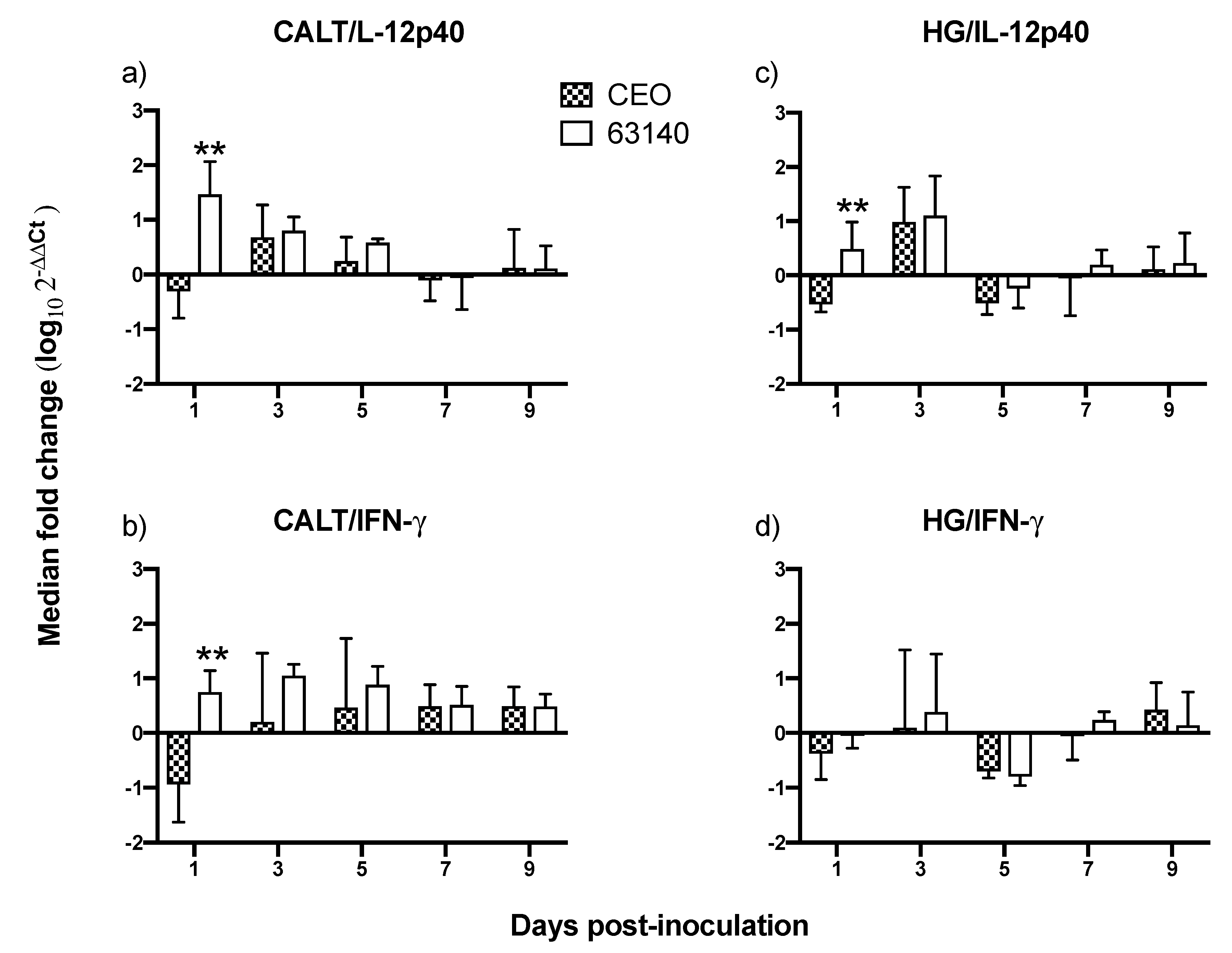 Viruses 11 00635 g008