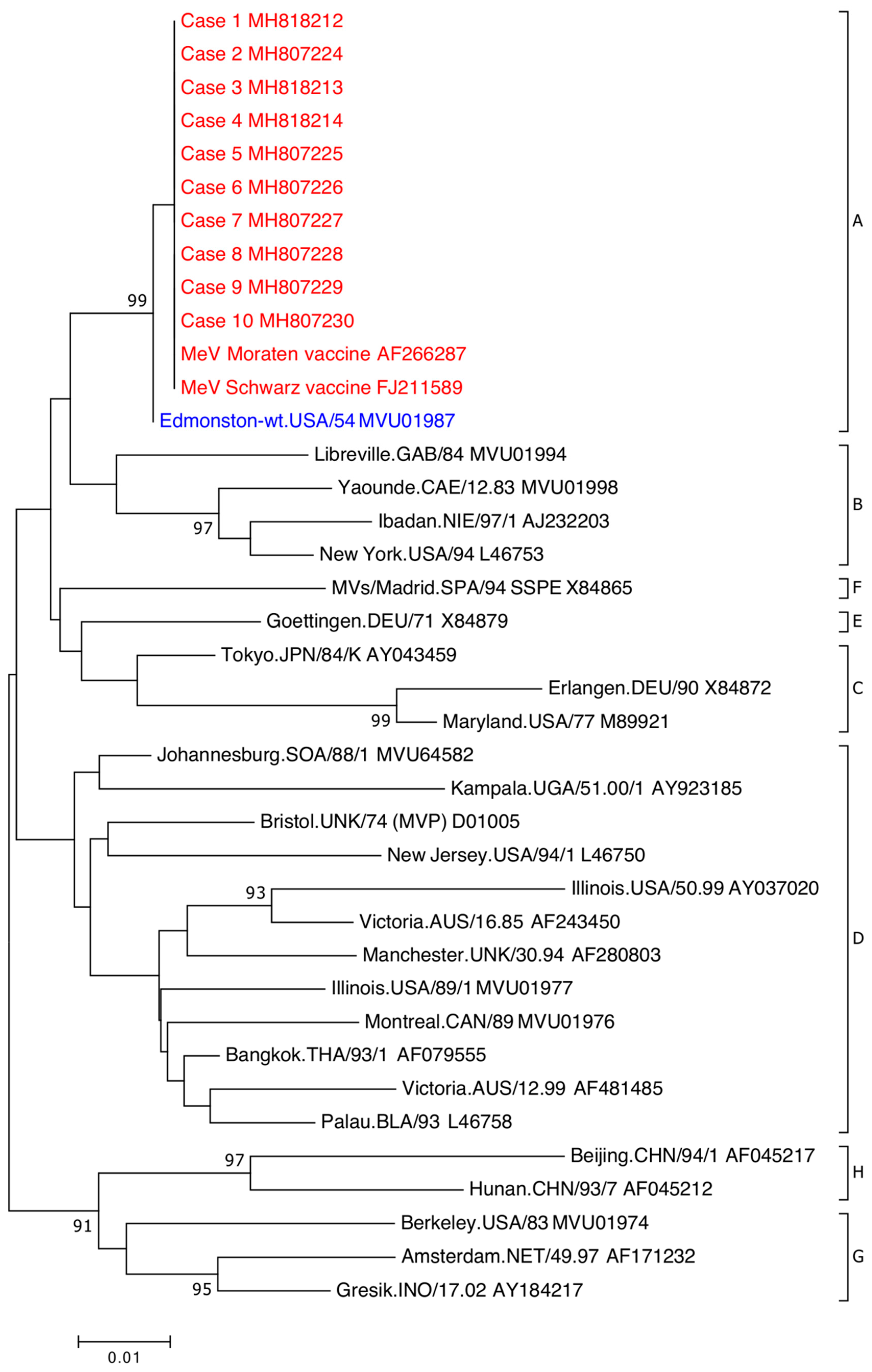 Viruses 11 00636 g002 Viruses 11 00636 g002