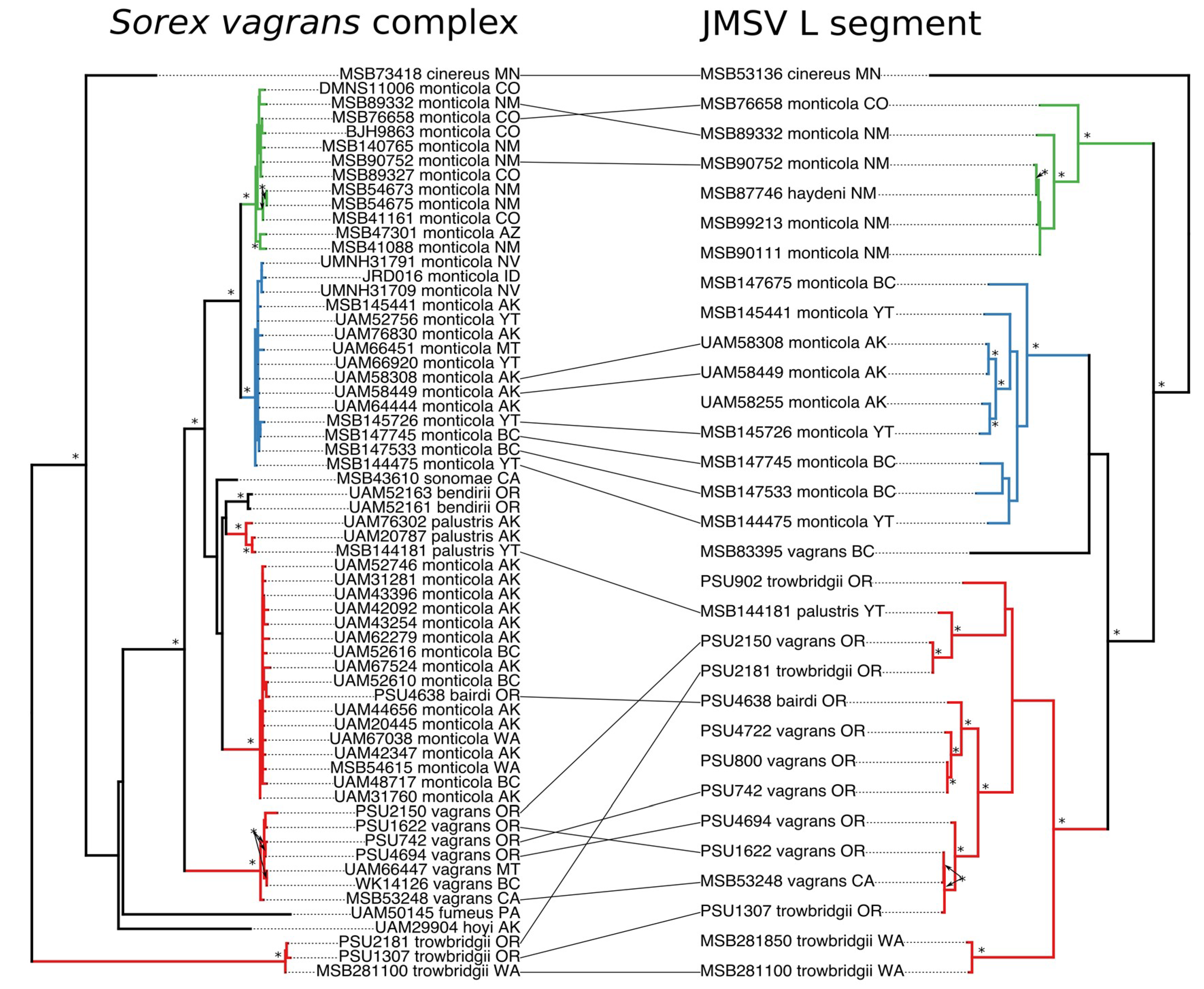 Viruses 11 00637 g003 Viruses 11 00637 g003
