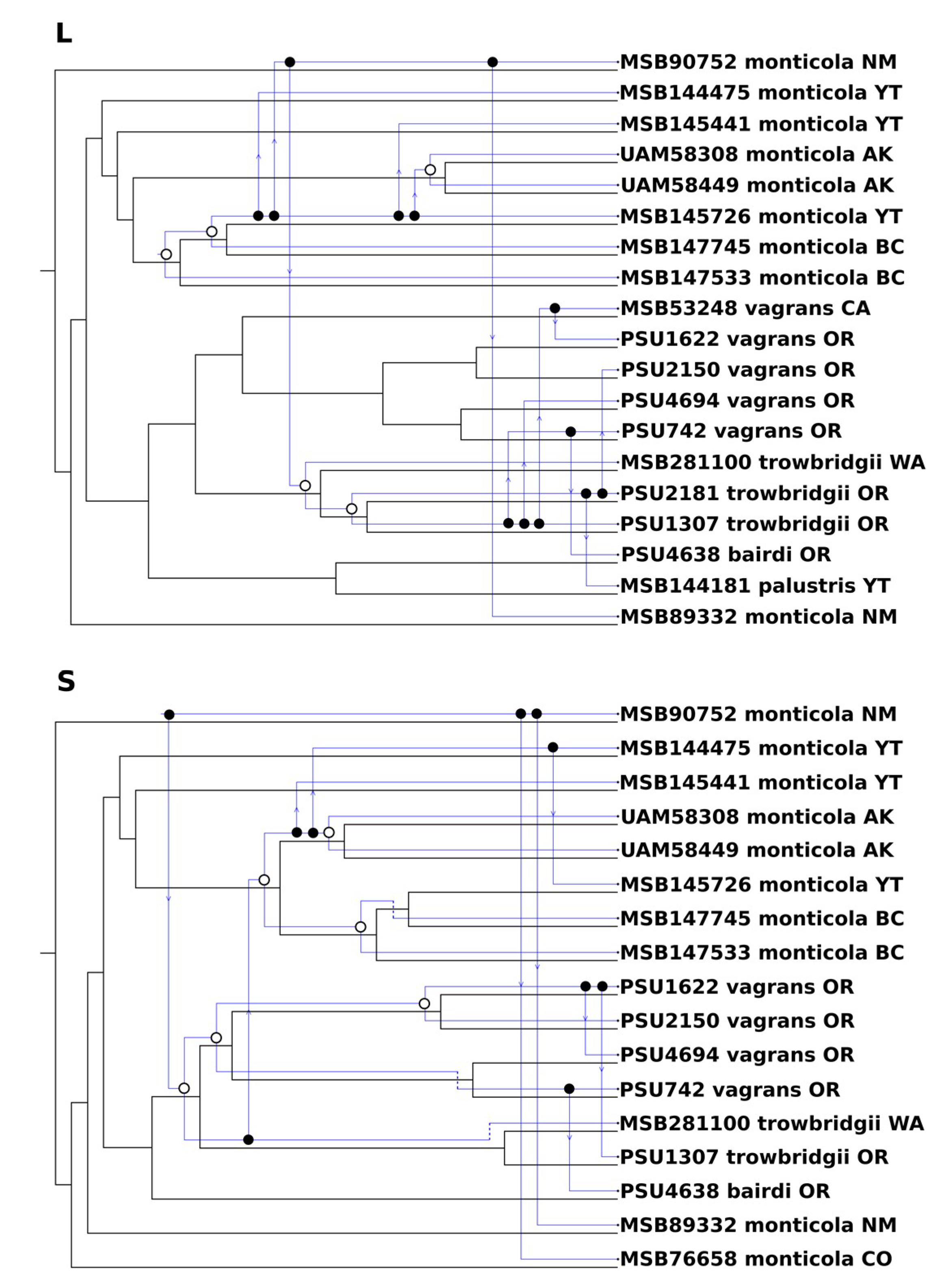 Viruses 11 00637 g004 Viruses 11 00637 g004