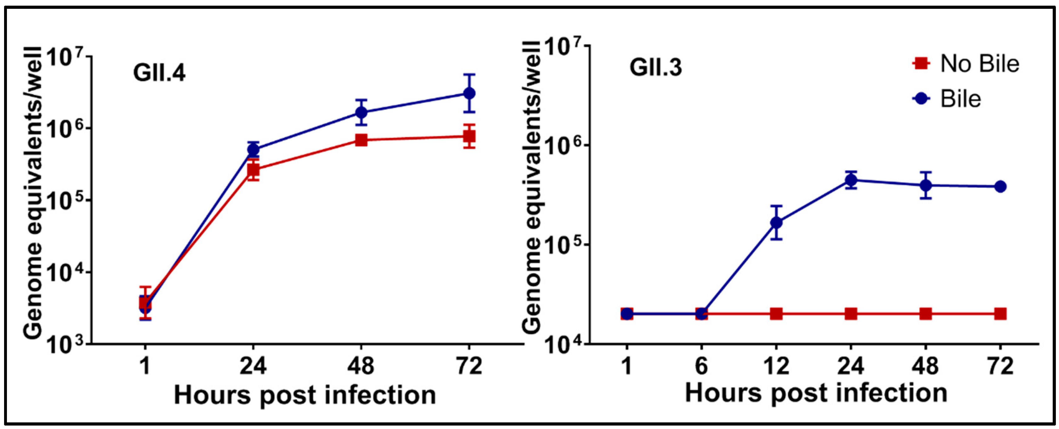 Viruses 11 00638 g002