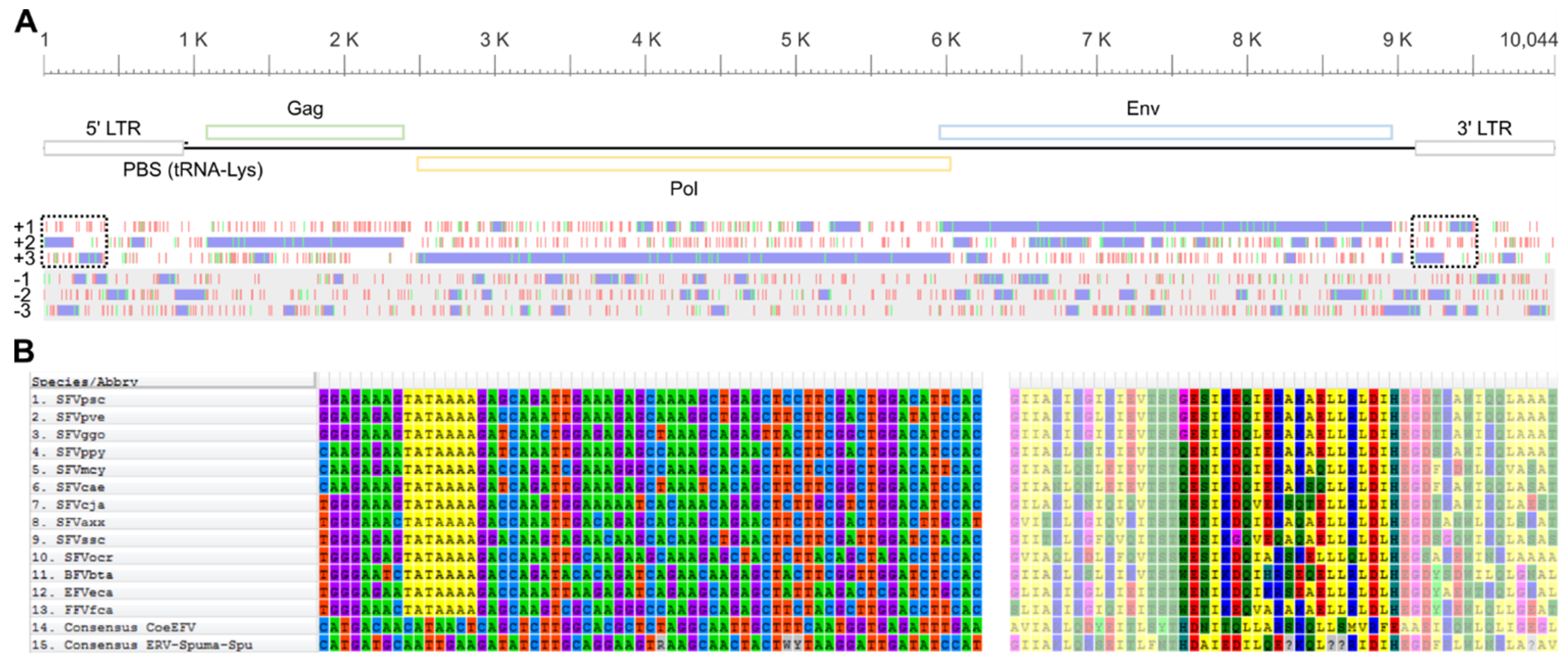 Viruses 11 00641 g001