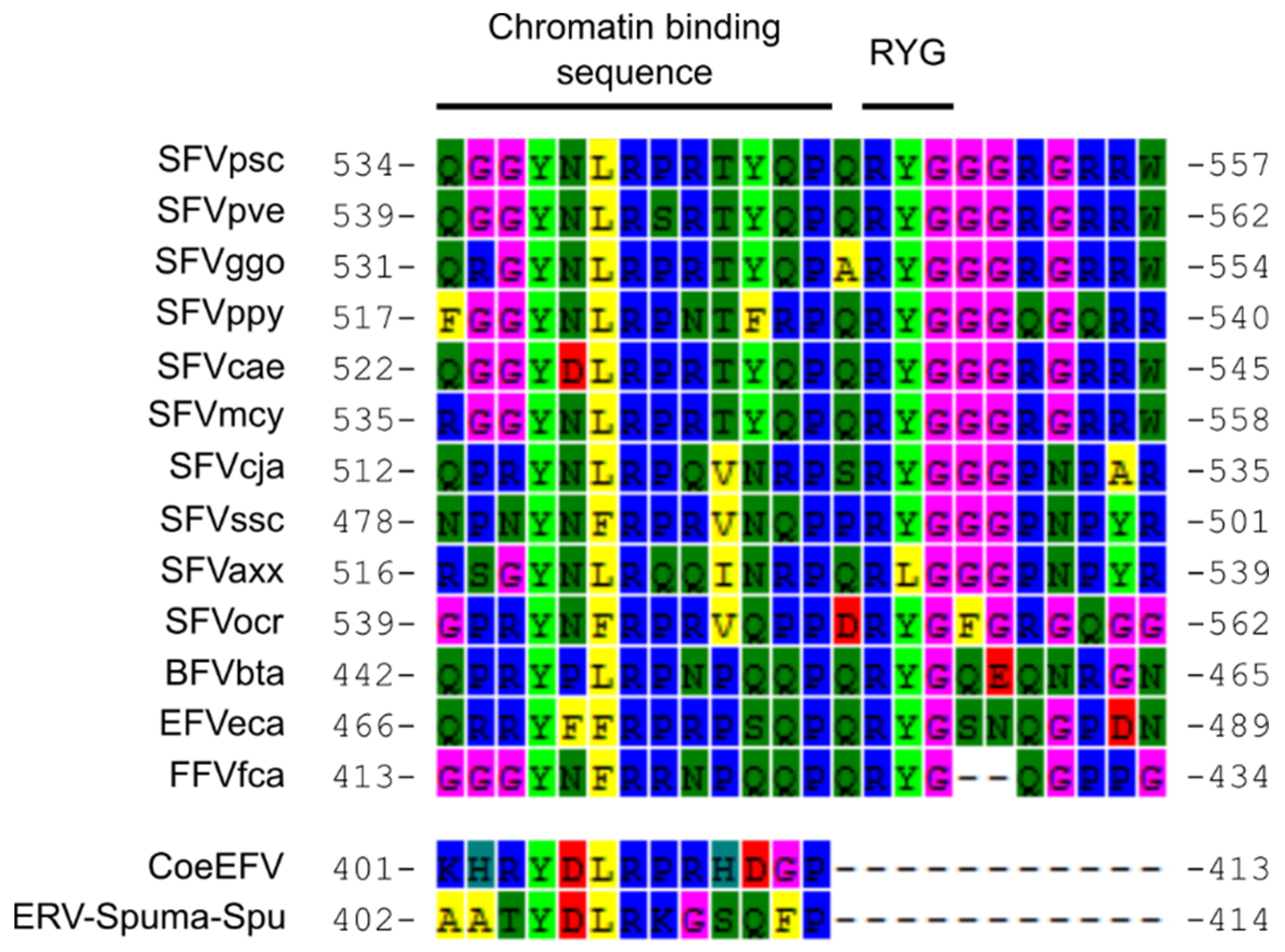 Viruses 11 00641 g004