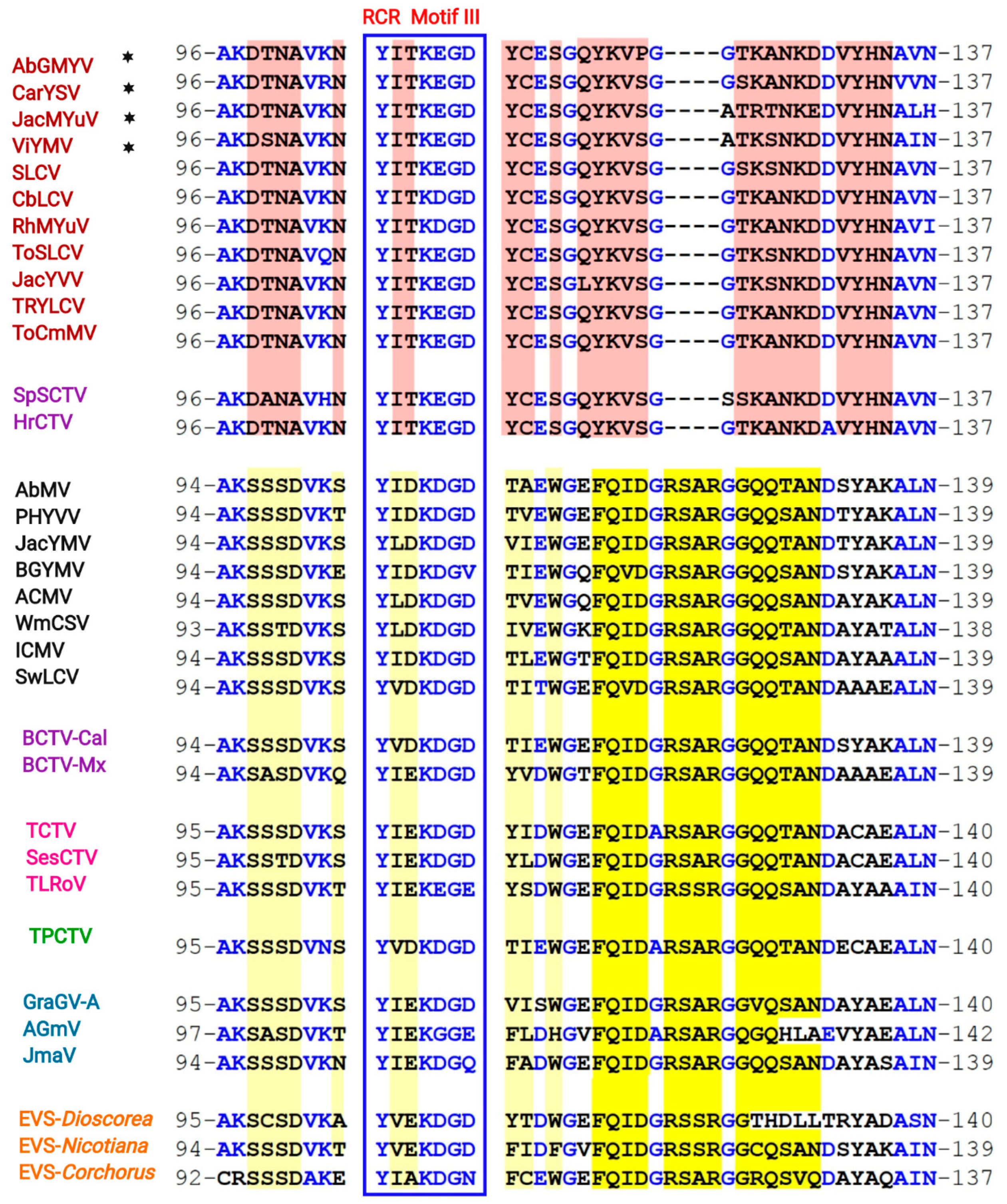 Viruses 11 00644 g006