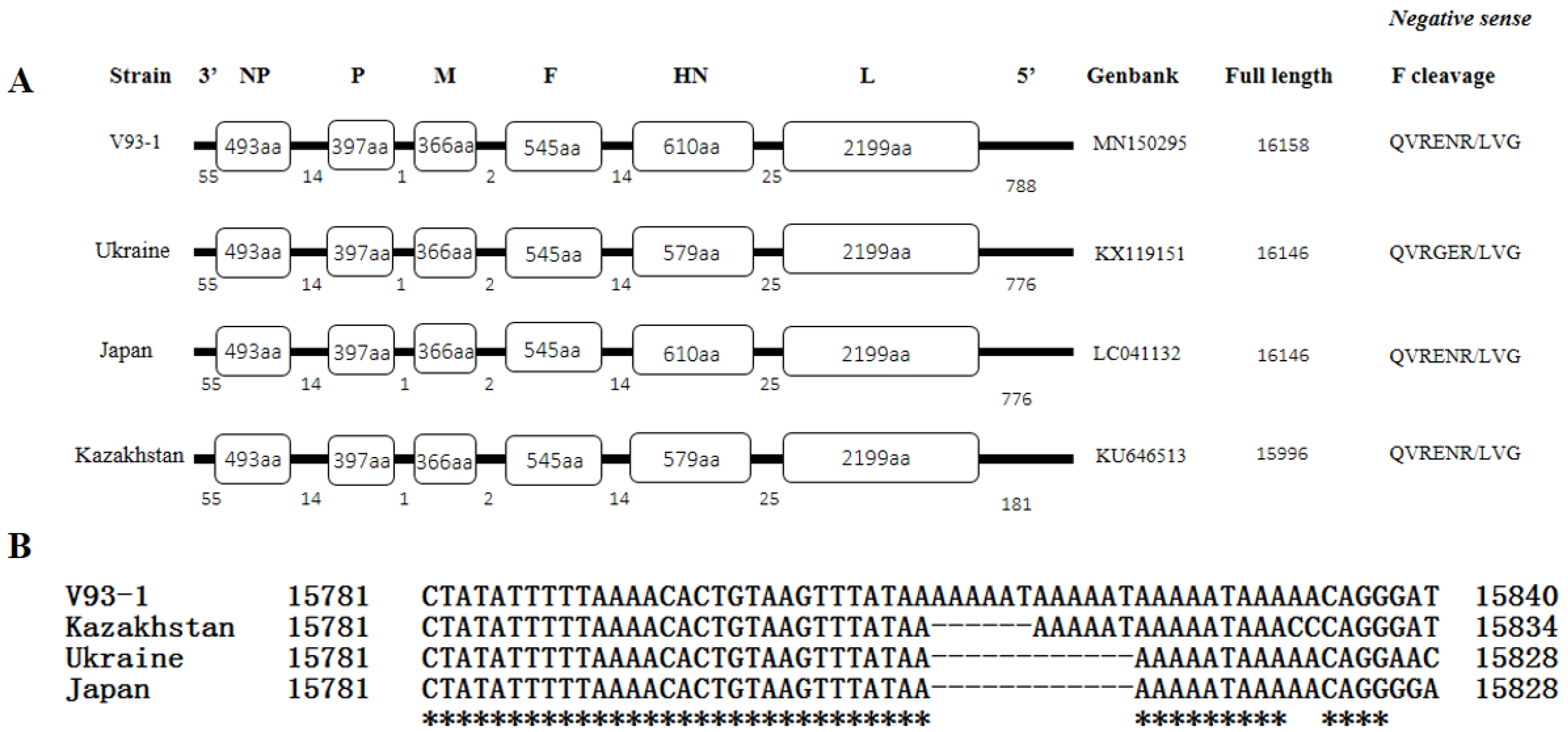 Viruses 11 00646 g001
