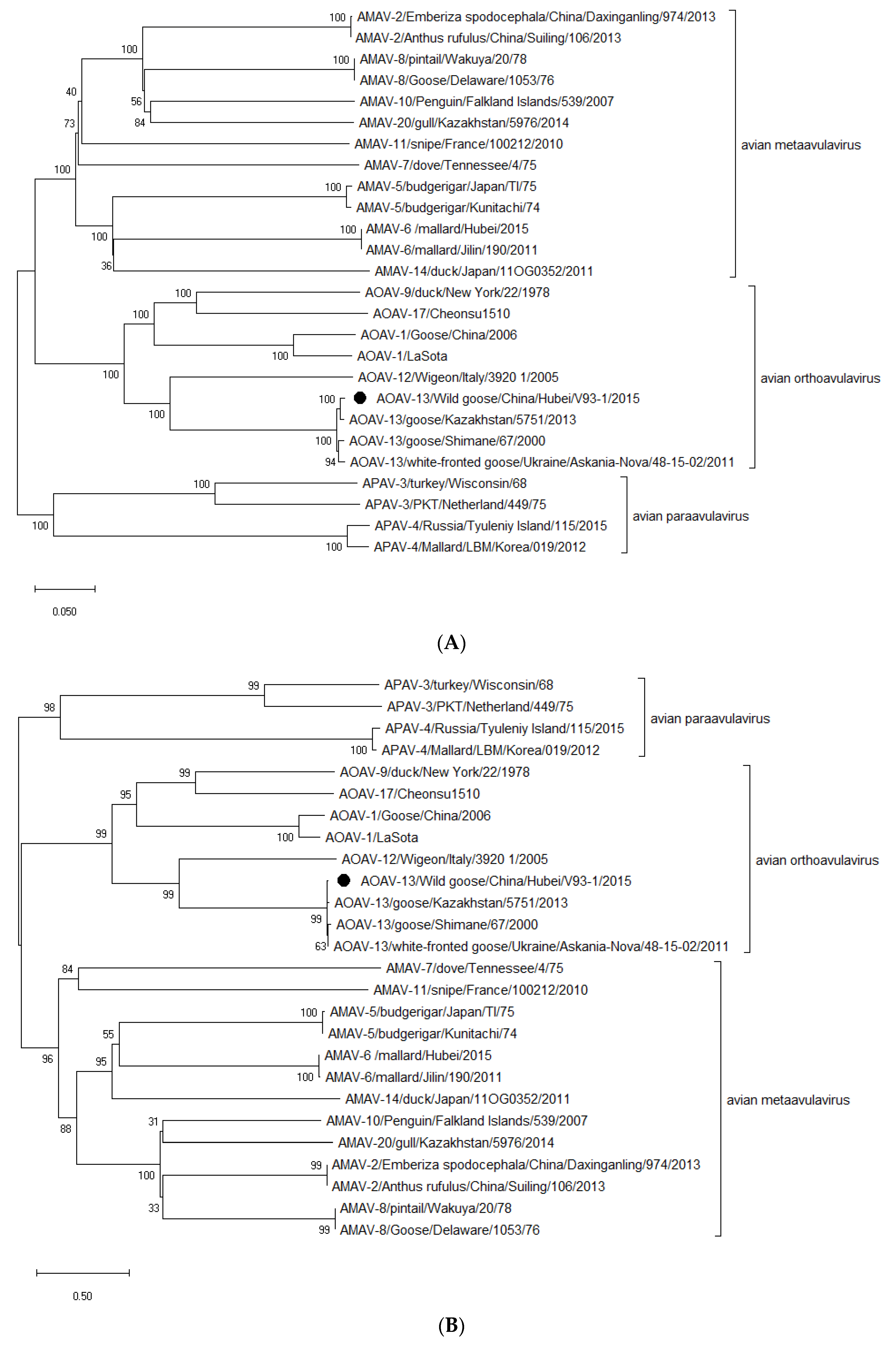 Viruses 11 00646 g002