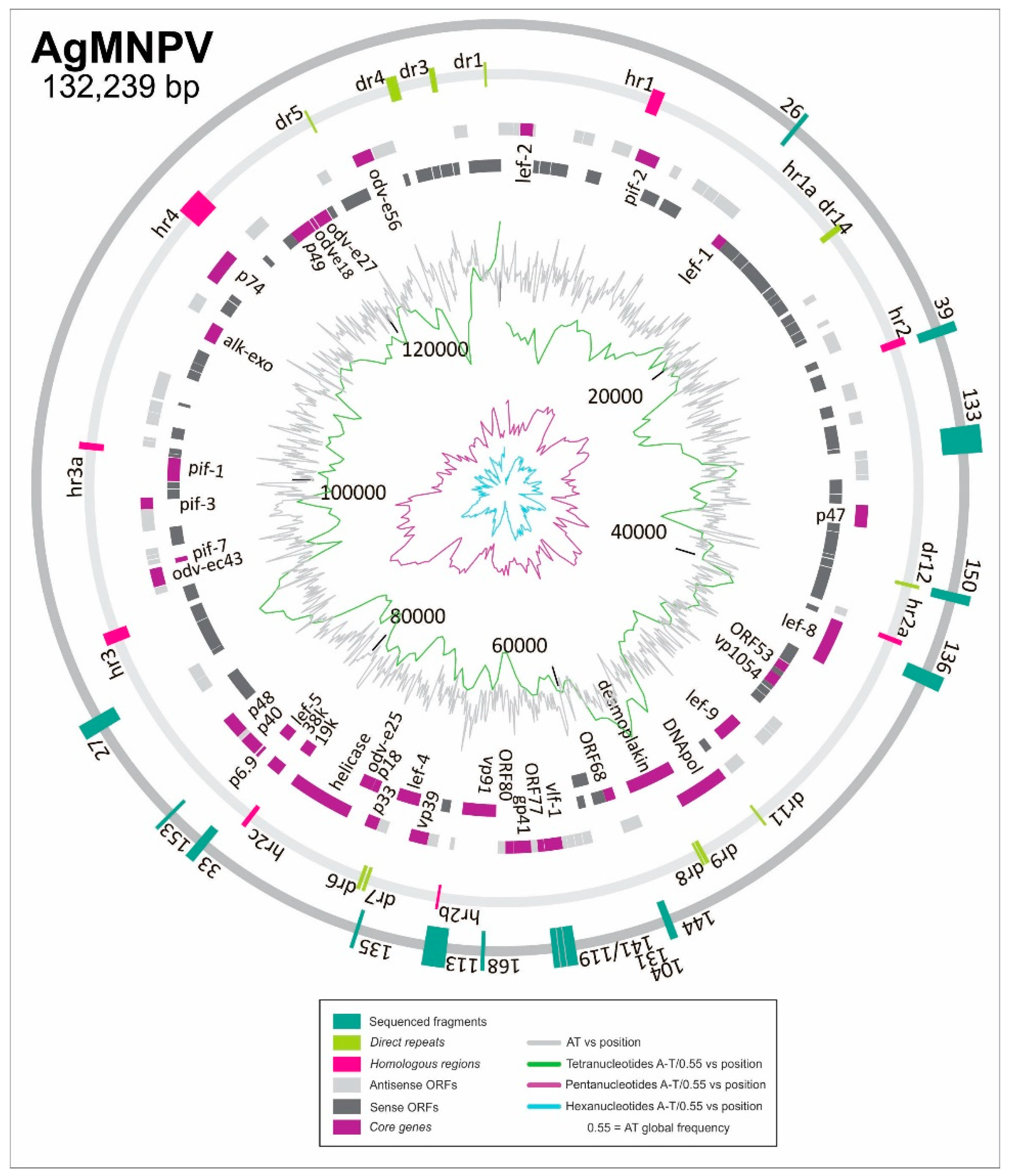 Viruses 11 00648 g002