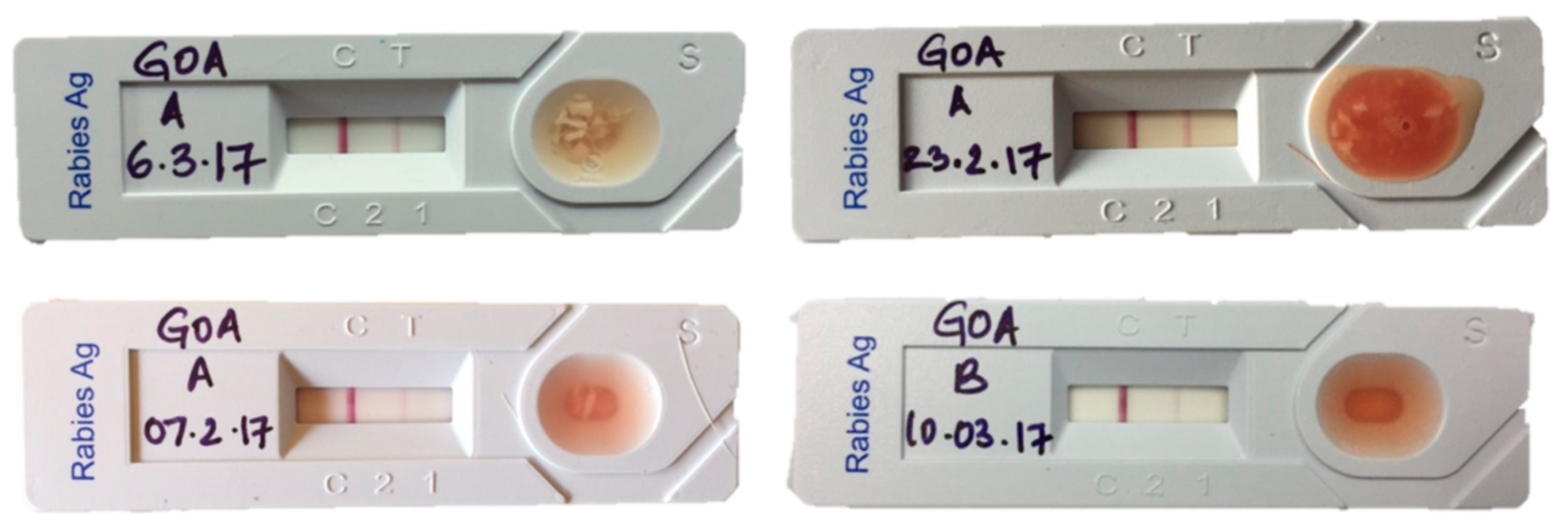 Viruses 11 00649 g003 550