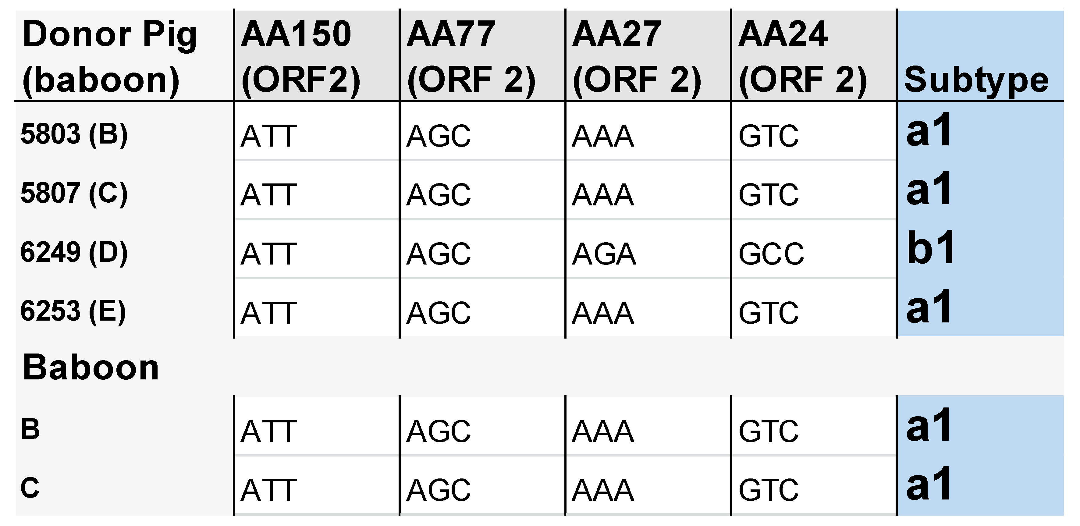 Viruses 11 00650 g003