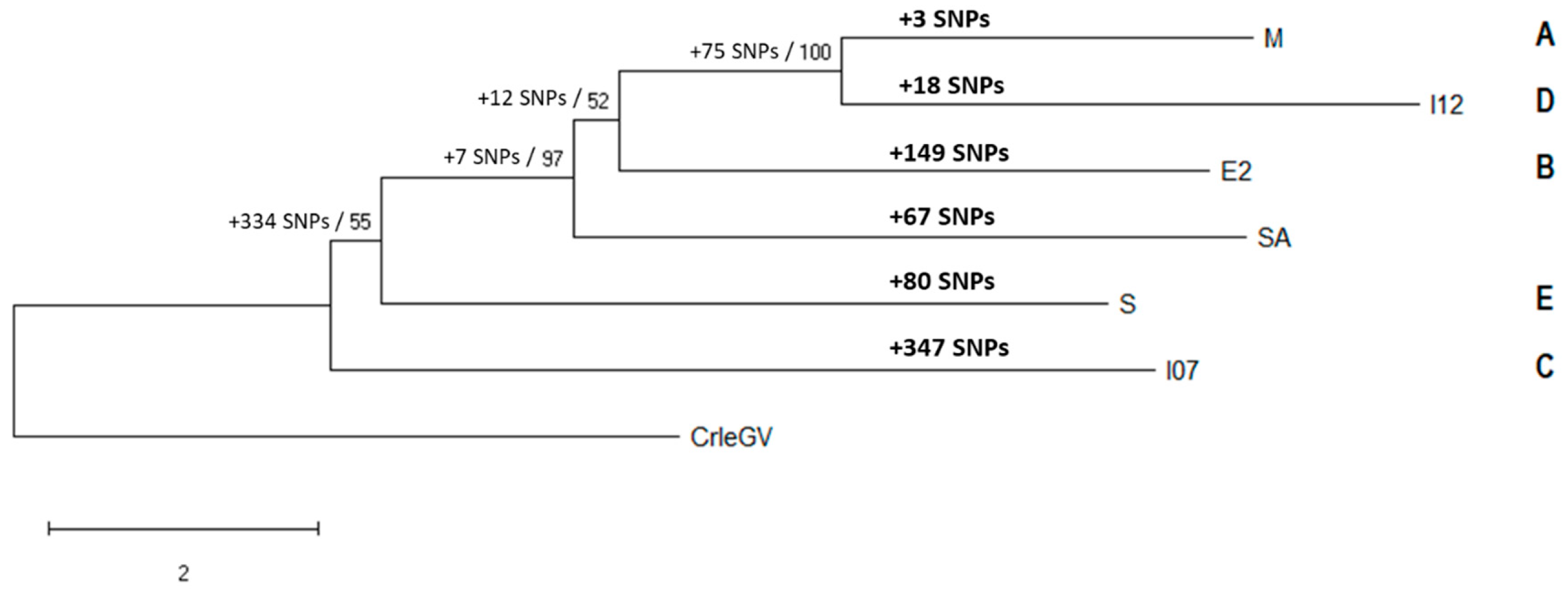 Viruses 11 00658 g001 Viruses 11 00658 g001
