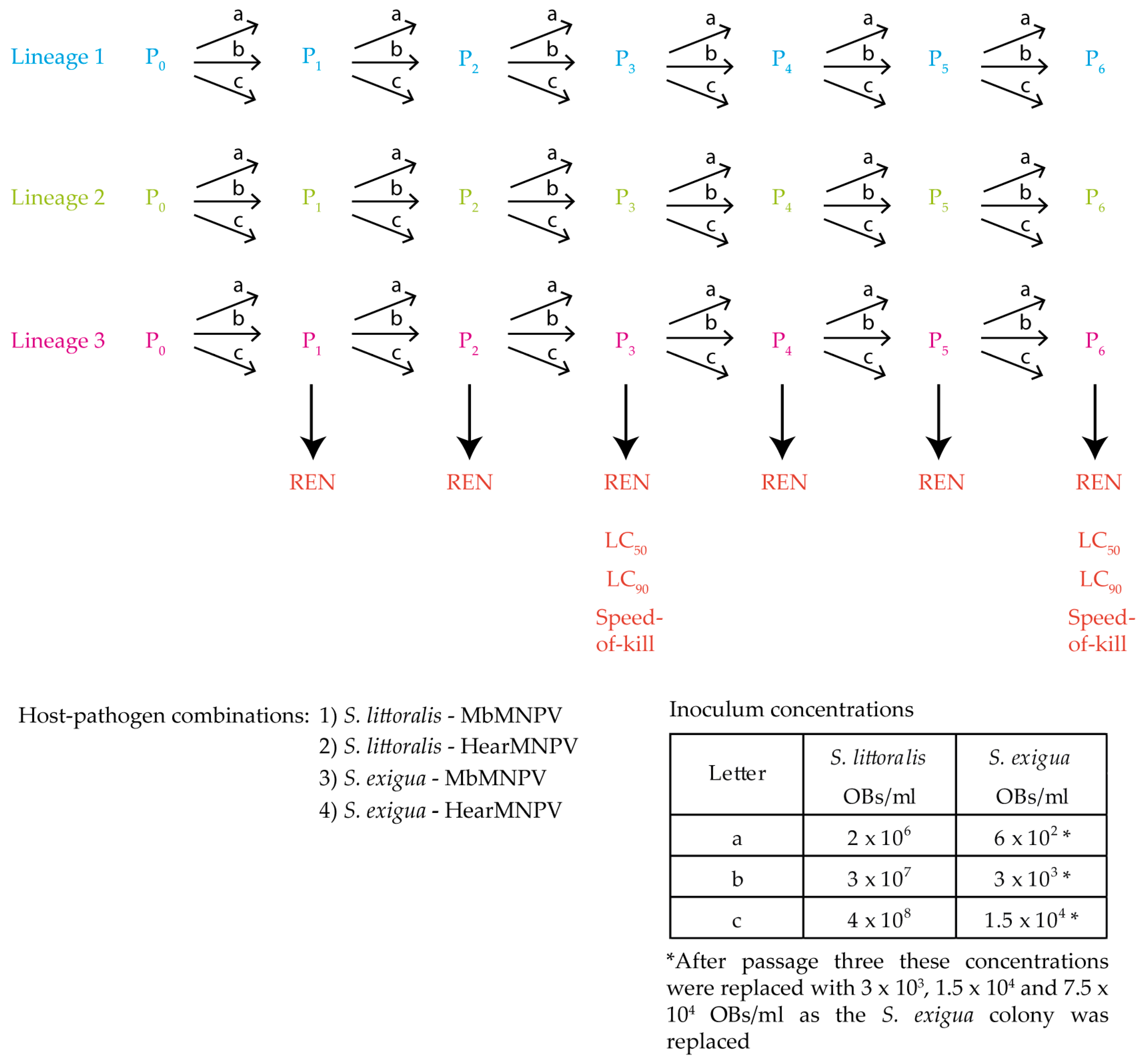 Viruses 11 00660 g001