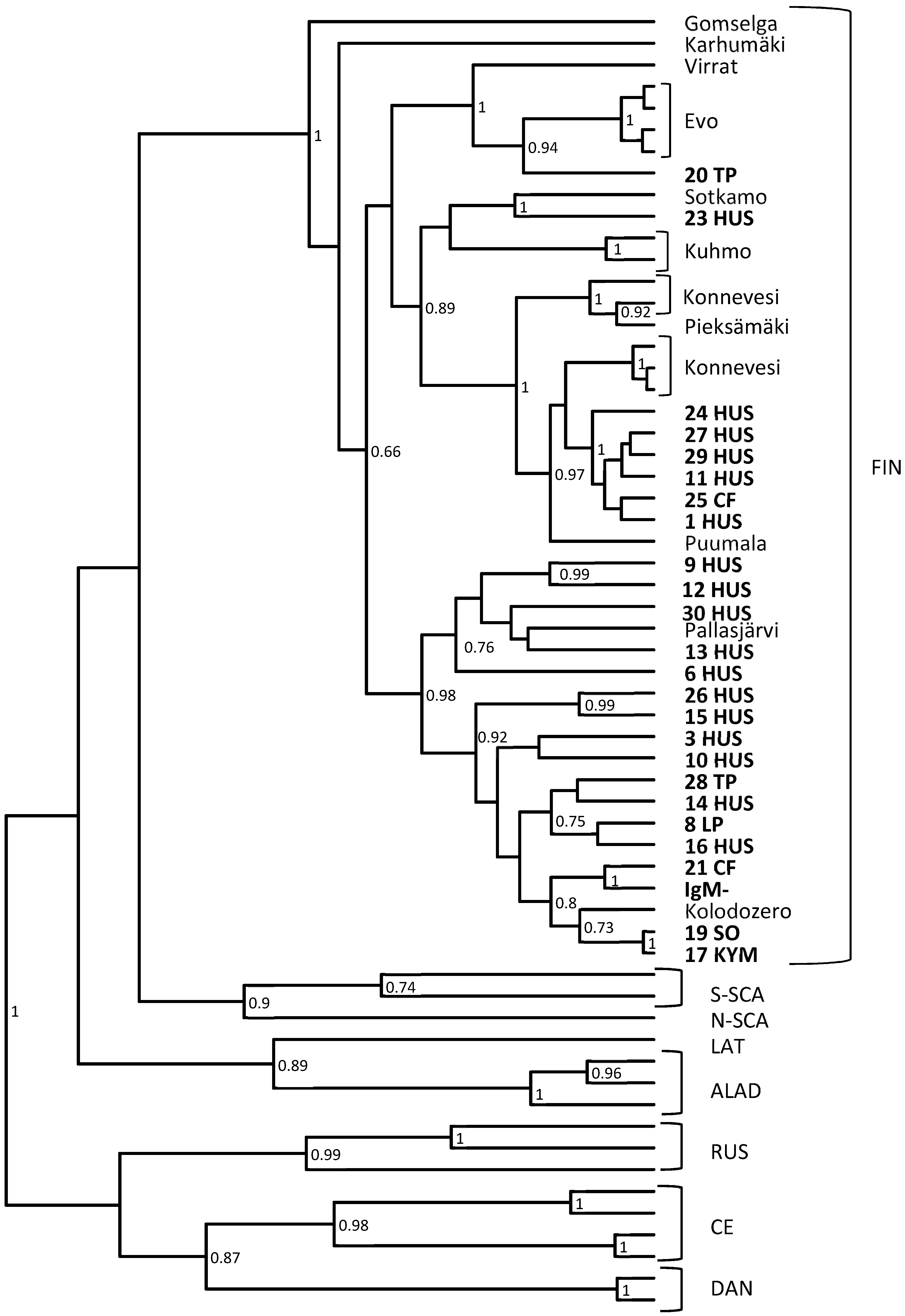 Viruses 11 00661 g001