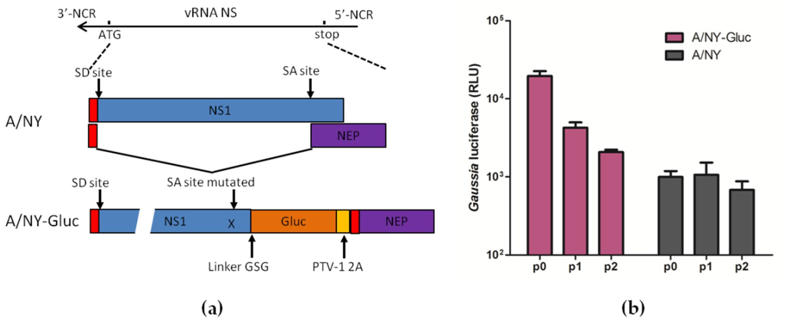 Viruses 11 00665 g001