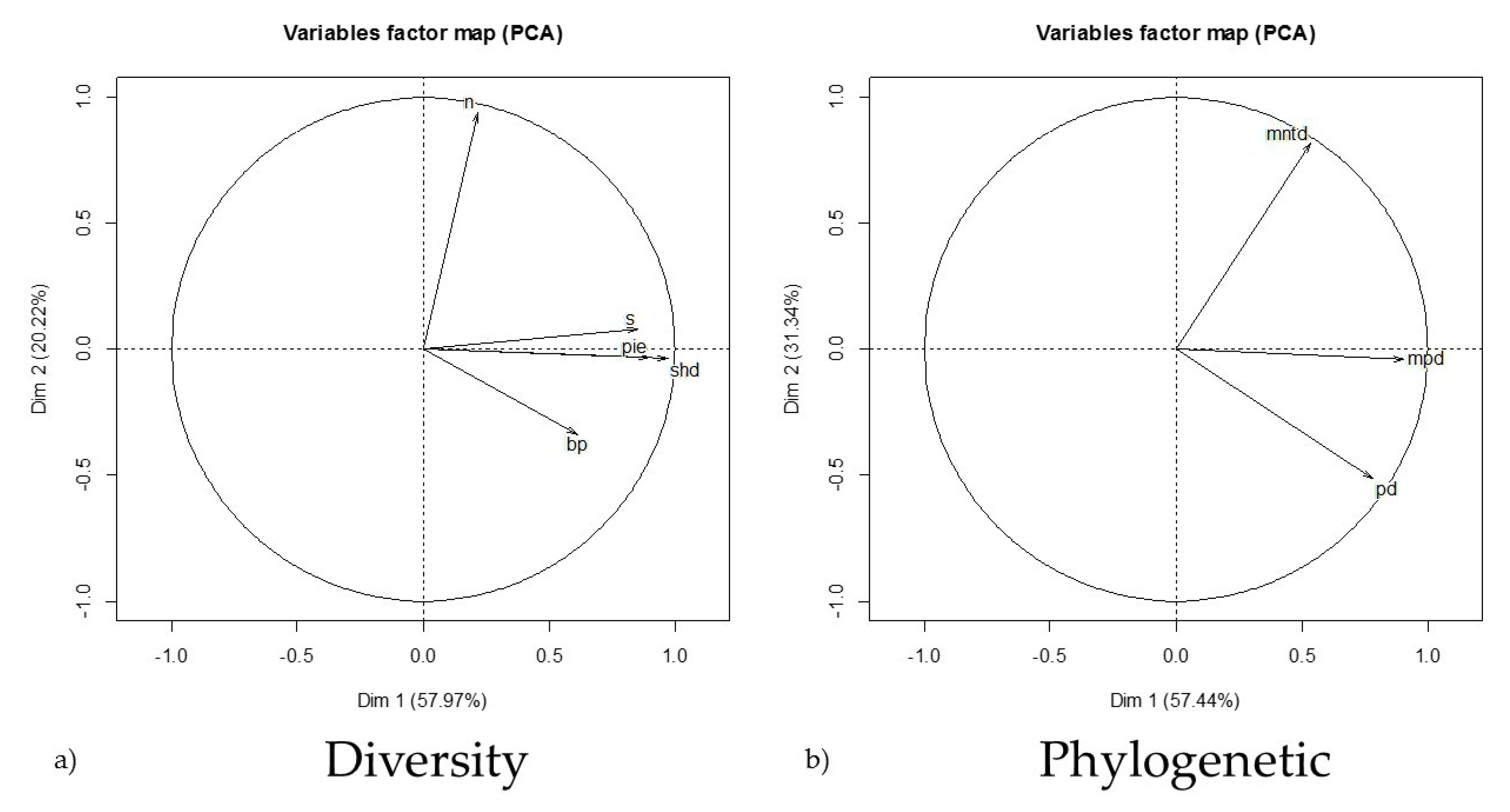 Viruses 11 00671 g001