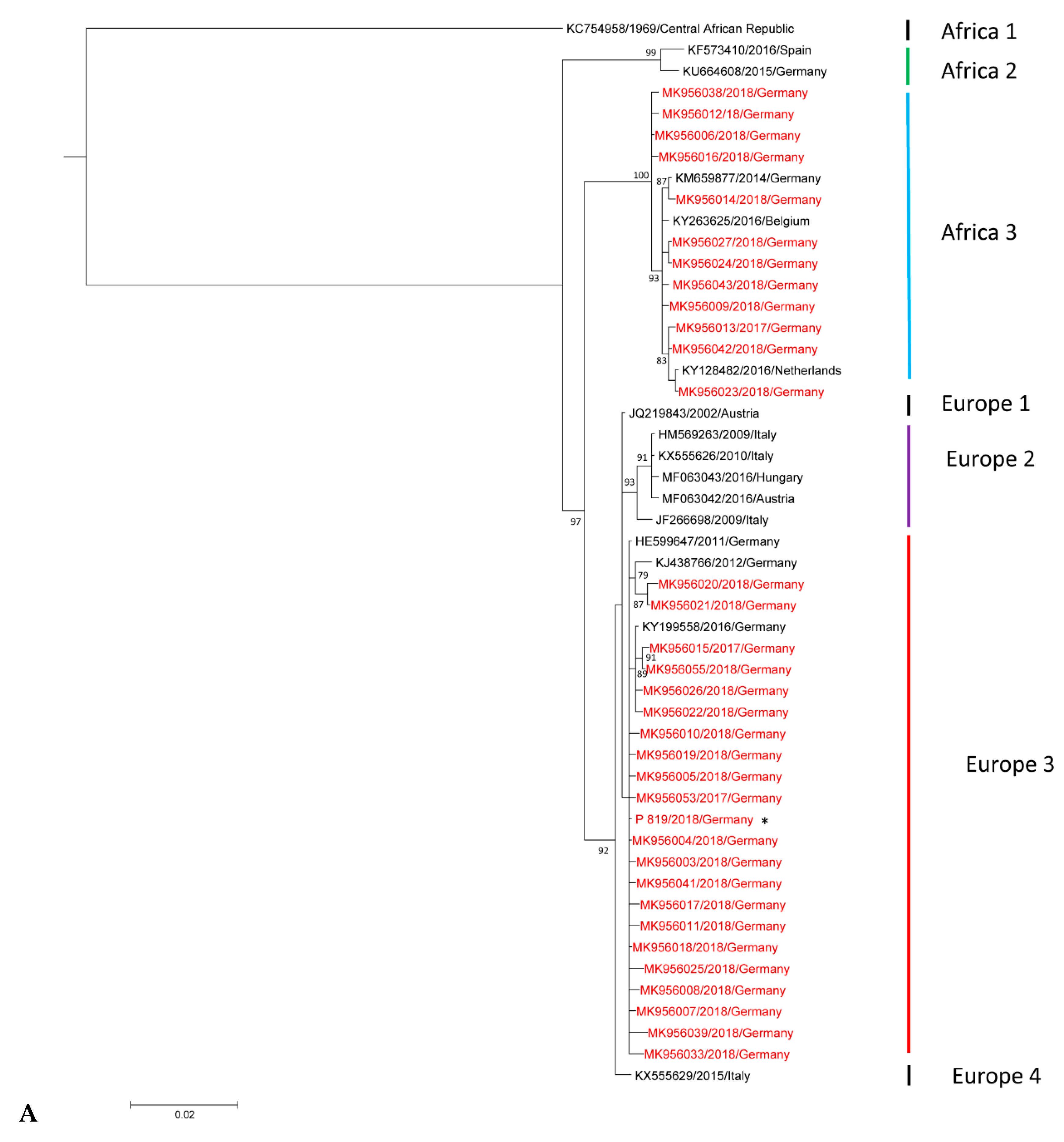 Viruses 11 00674 g002a 550