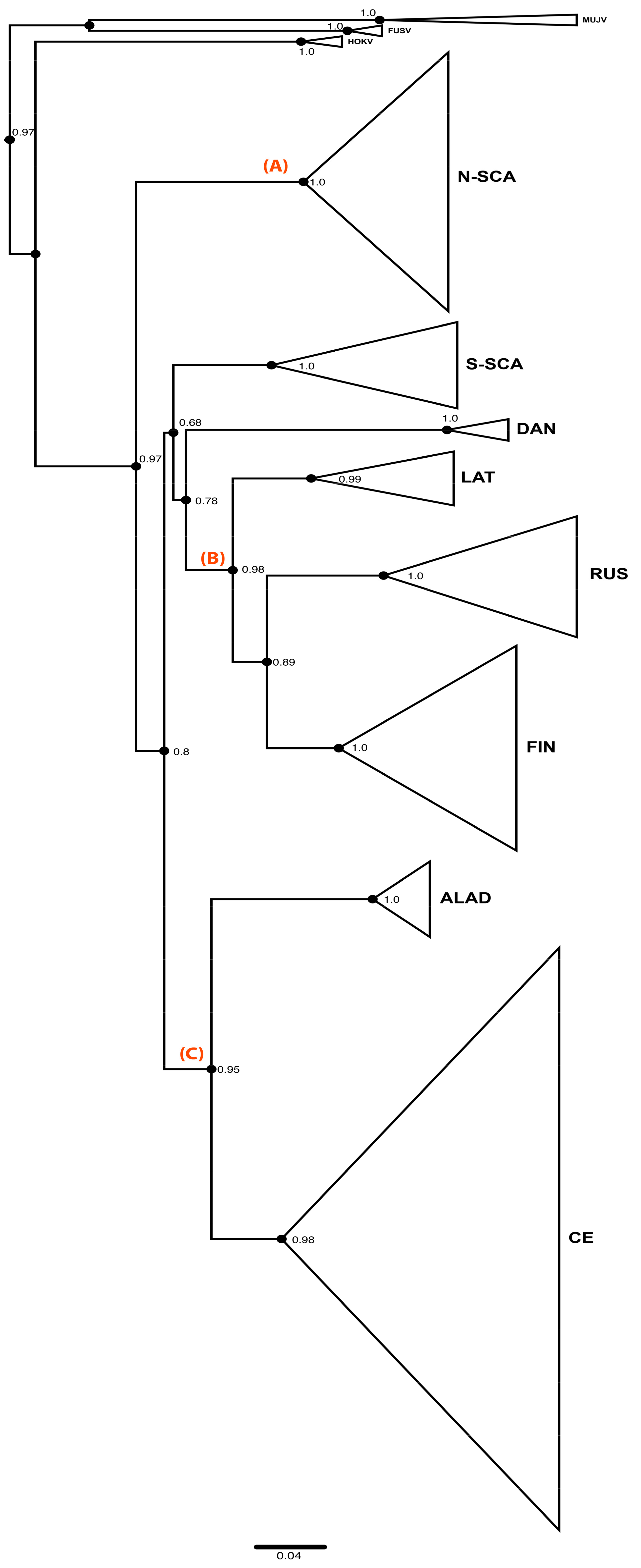 Viruses 11 00679 g001