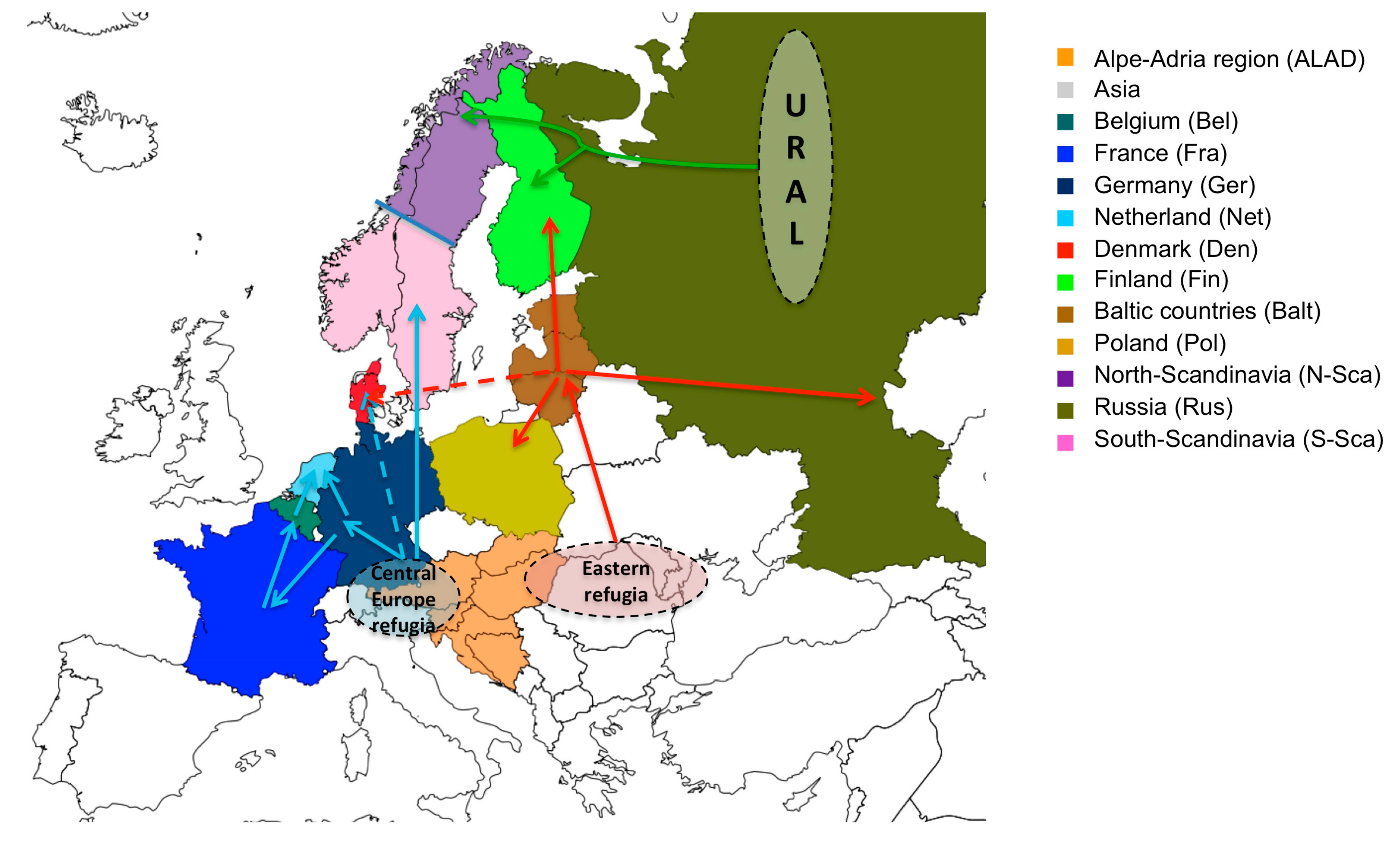 Viruses 11 00679 g003