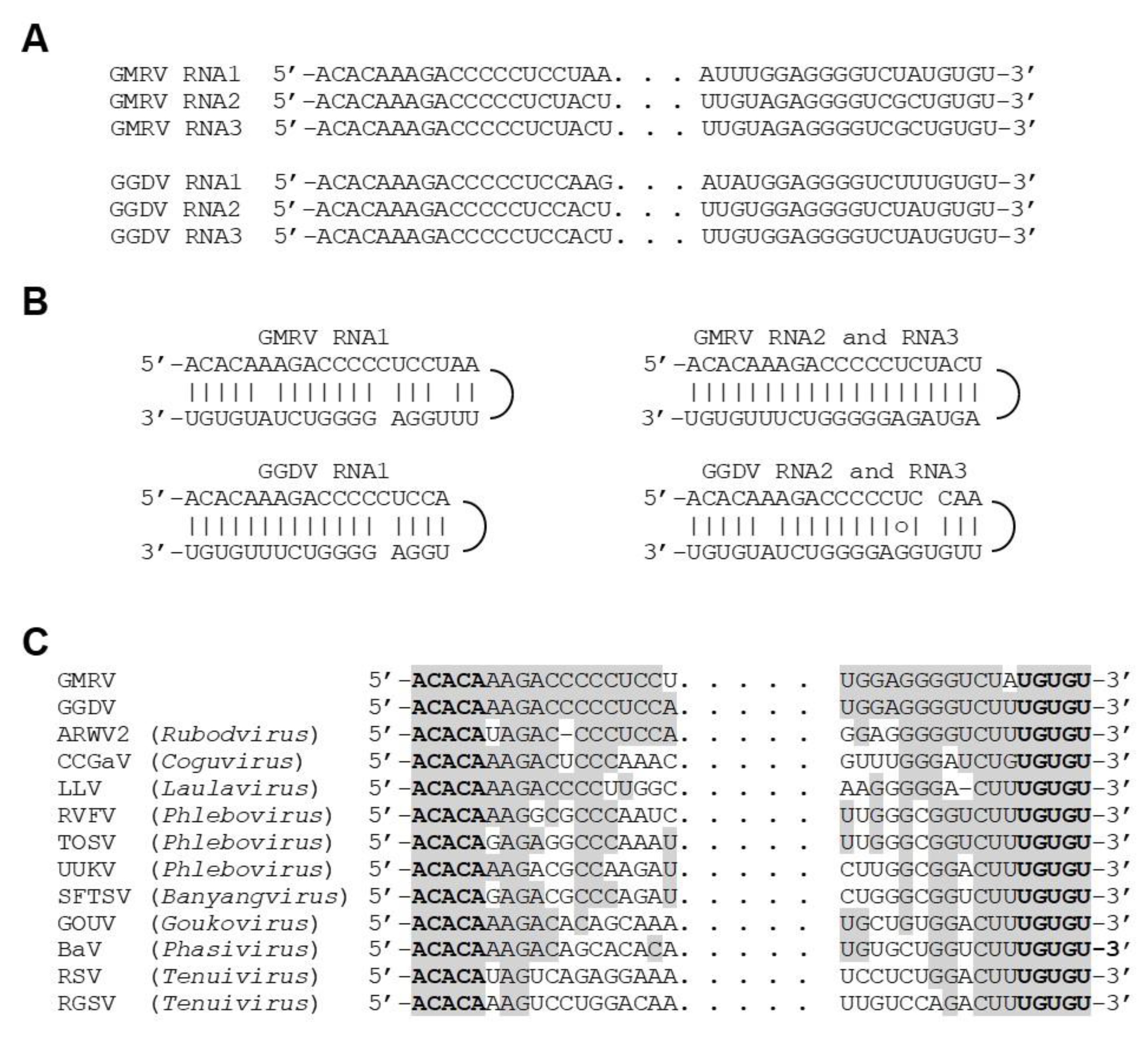 Viruses 11 00685 g002