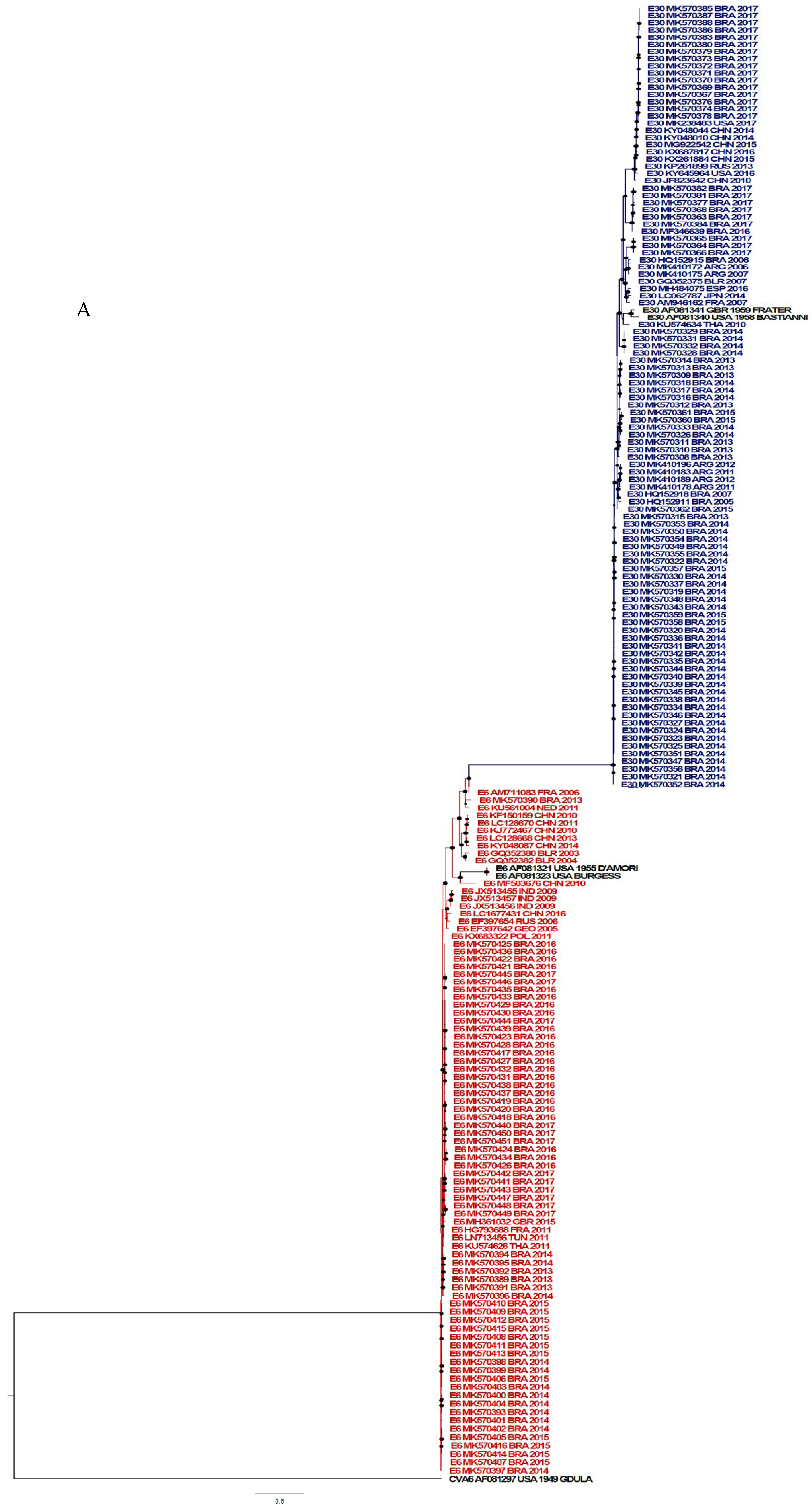 Viruses 11 00690 g004a